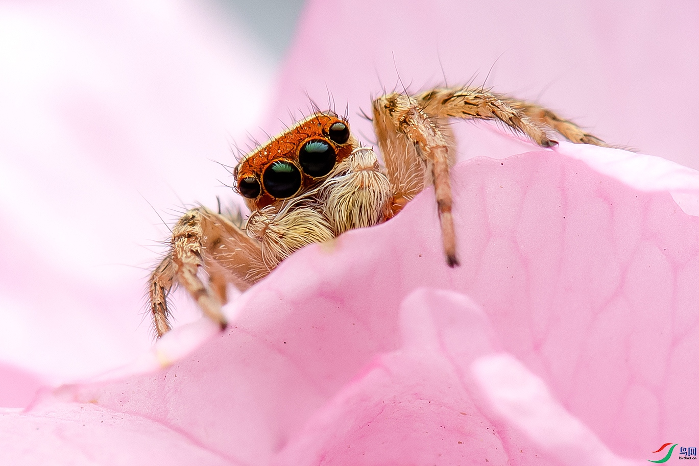 DSC_9874=.jpg