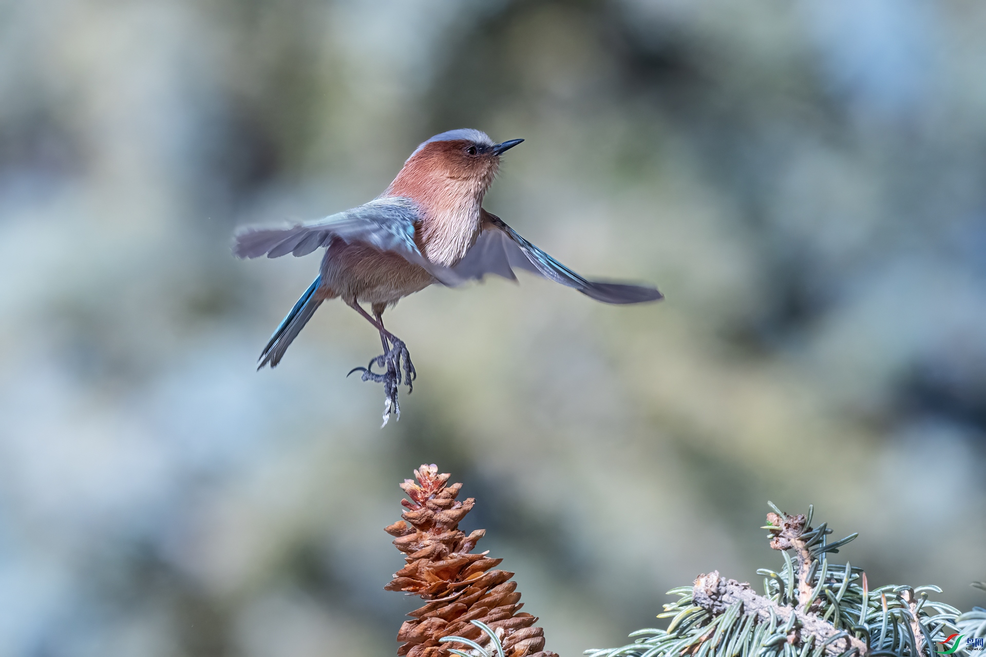 DSC_4684.jpg