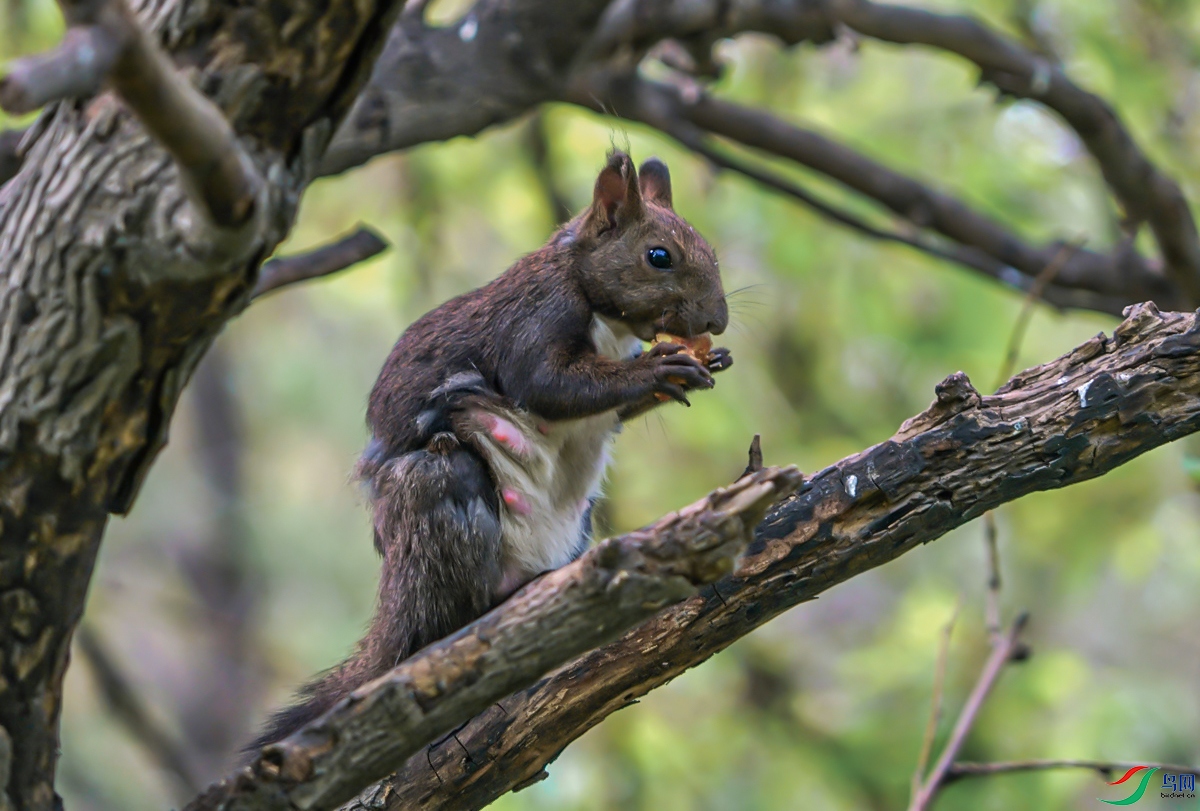 DSC00853_��ͼ�� ����.jpg