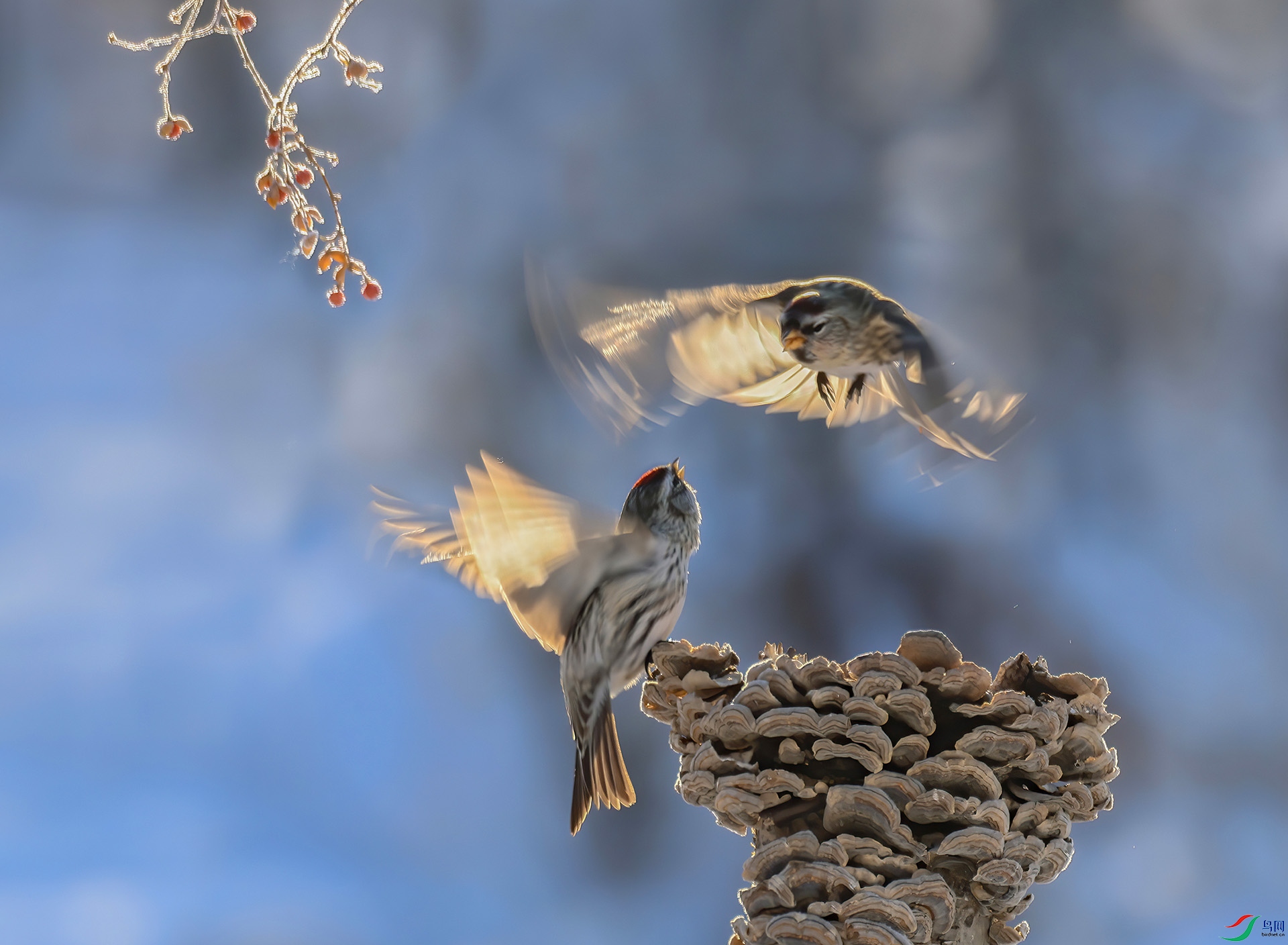 �����춥ȸ��ʳ��սE8A8738------333.jpg