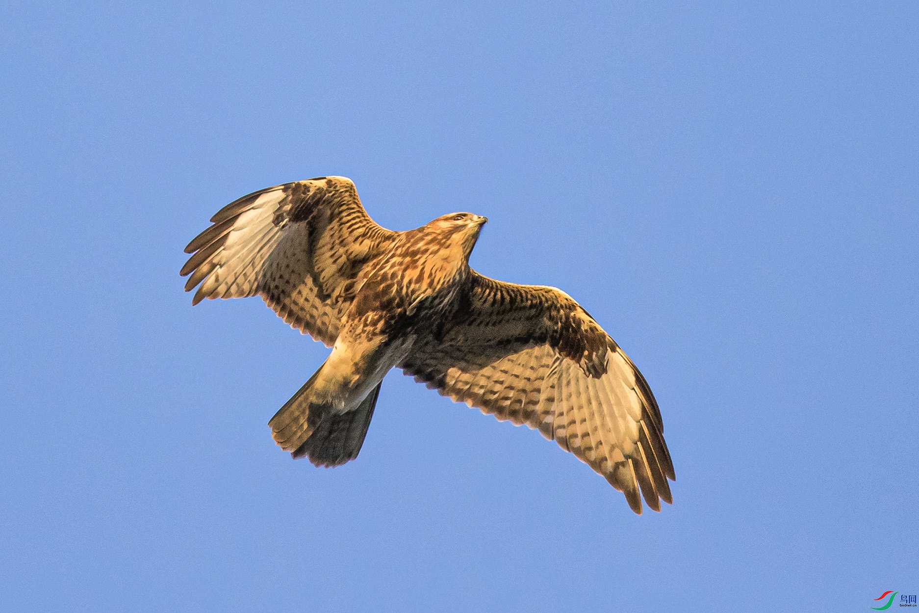 _90I0133 ����.jpg