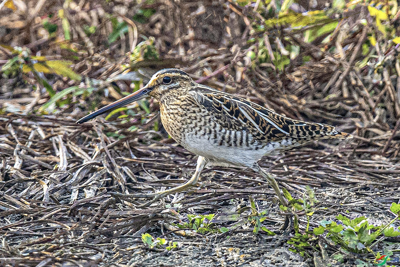 _90I8110 ���� 3.jpg