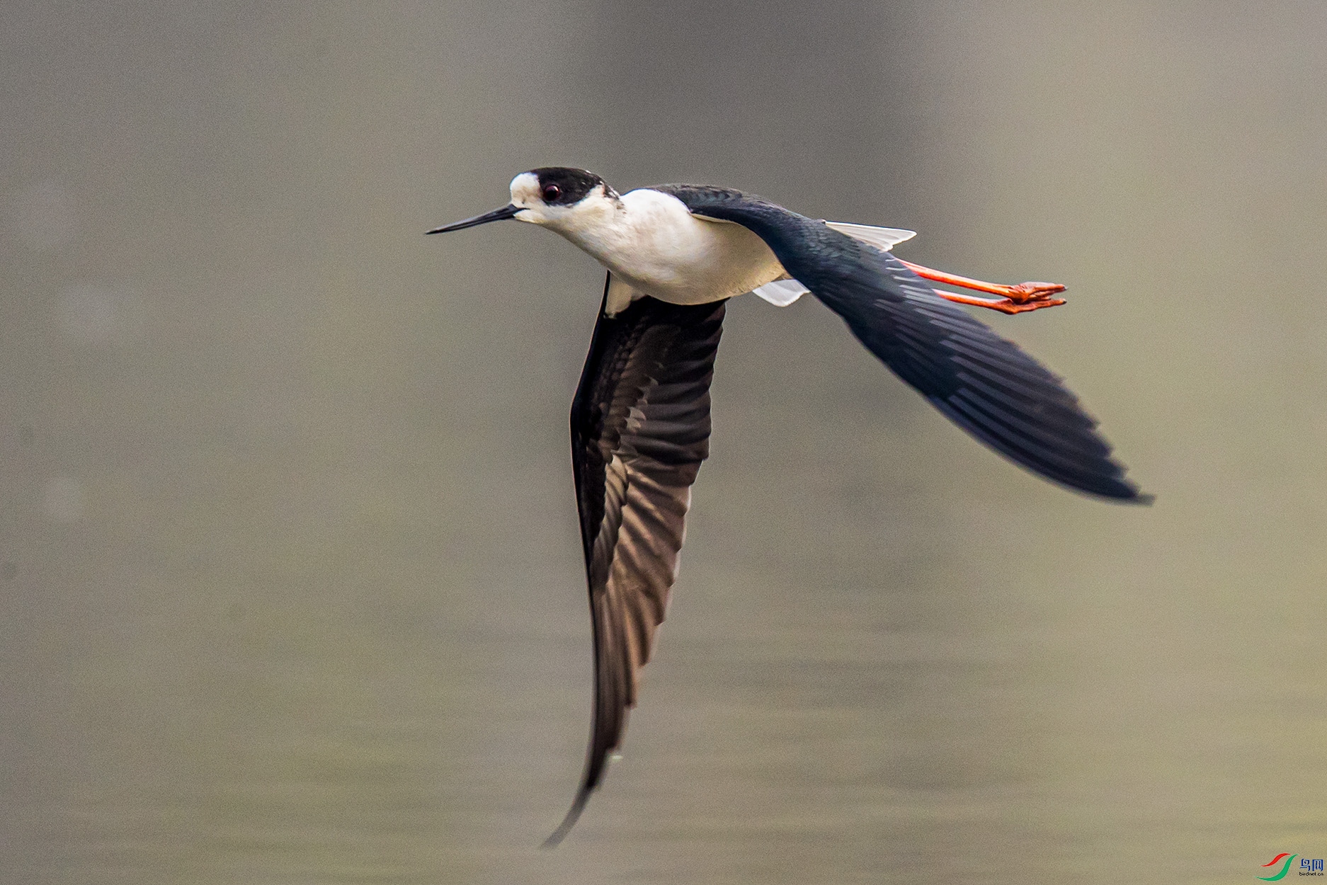 _90I3217 ����.jpg