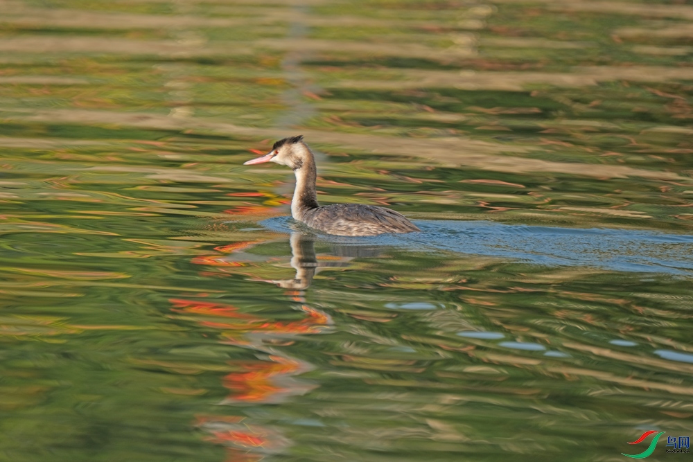 DSCF8141.1.jpg