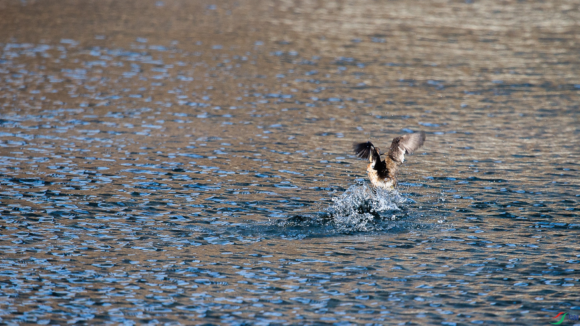 A48Z2530.jpg