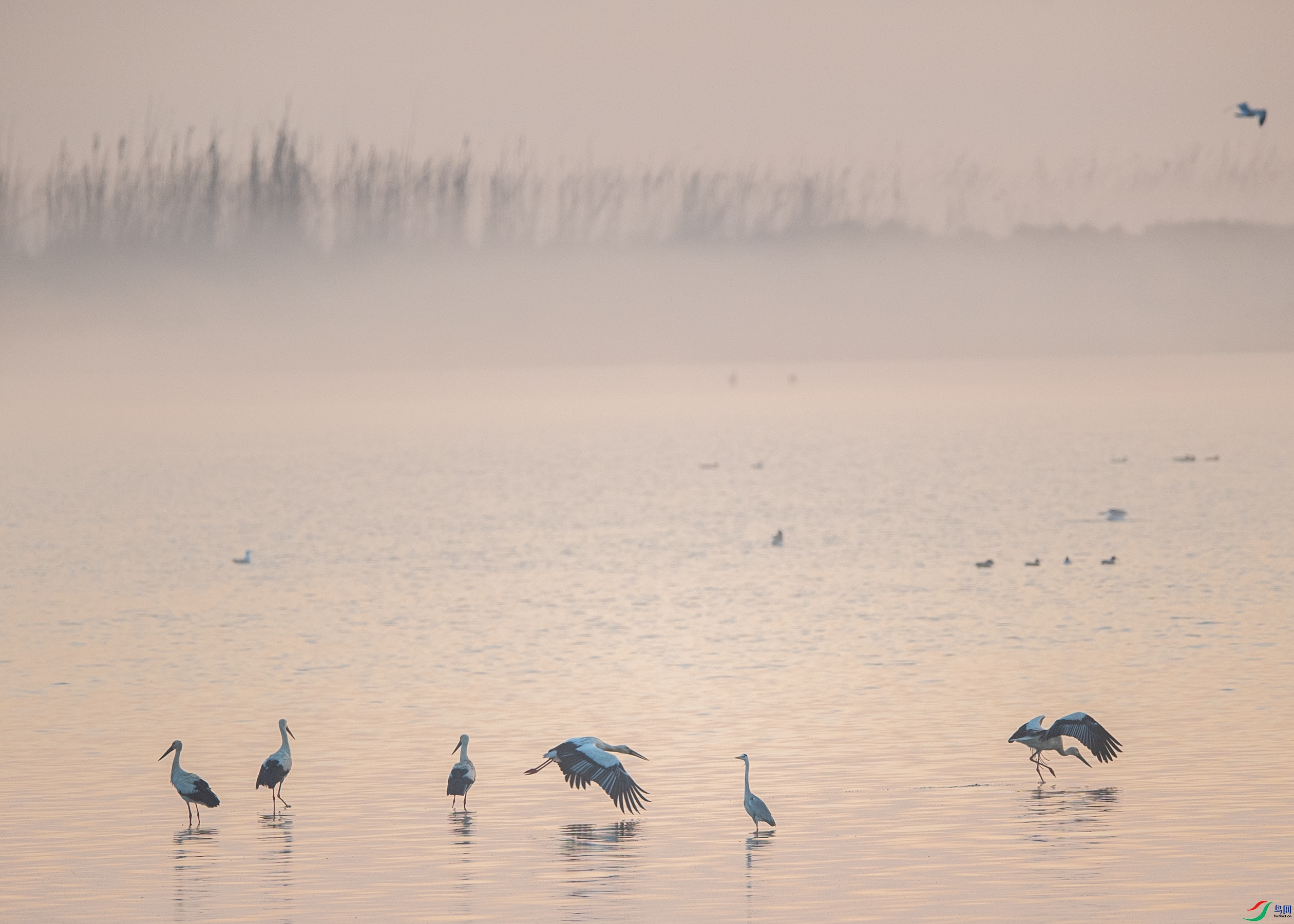 DSC_9110�糿.JPG