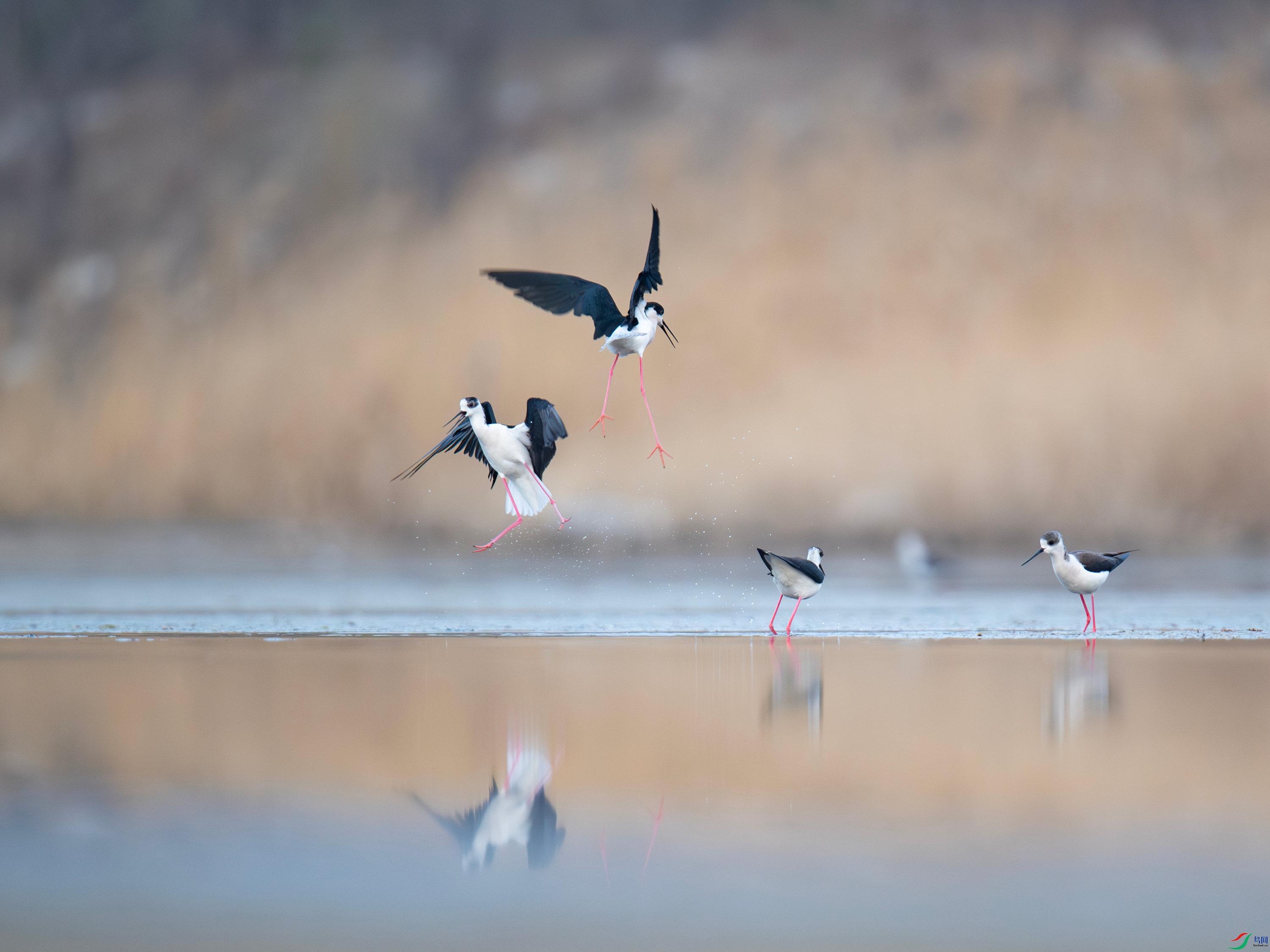 �ڳ᳤���� (9).jpg