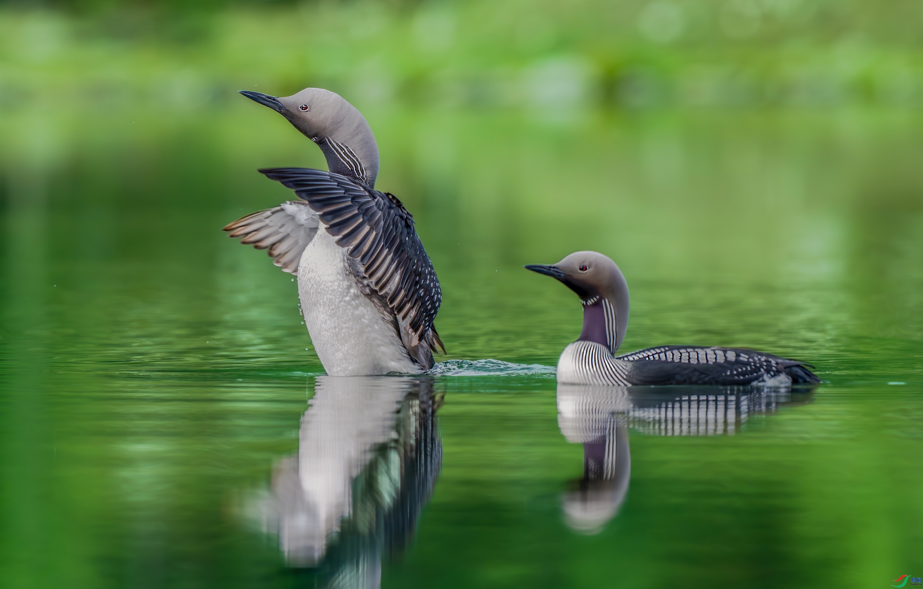 1.31���789��ʦ��Ʒ   ������Ӱ ��ף���ٻ����������.jpg