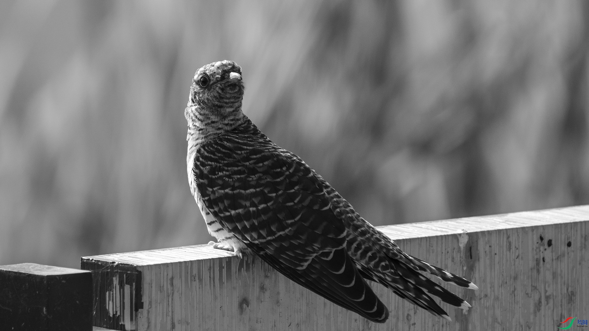 DSC02844 ����.jpg