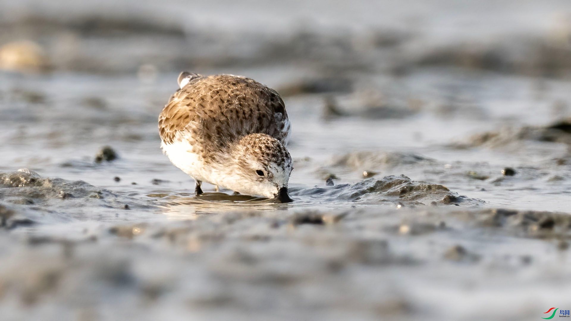 _DSC9969 ����.jpg