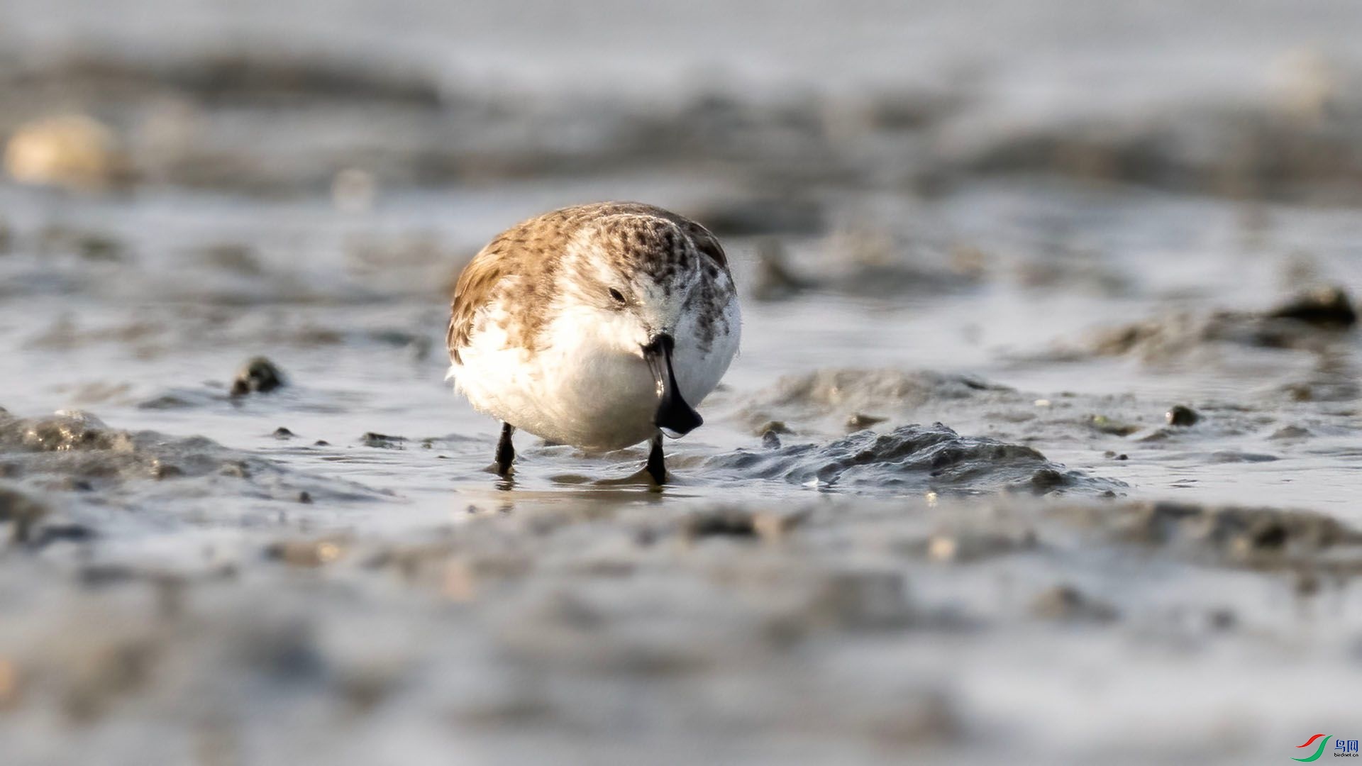 _DSC9977 ����.jpg