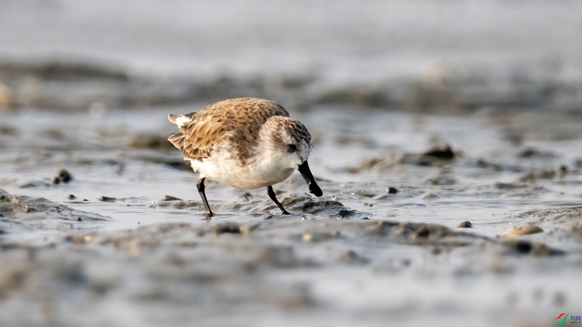 _DSC9985 ����.jpg