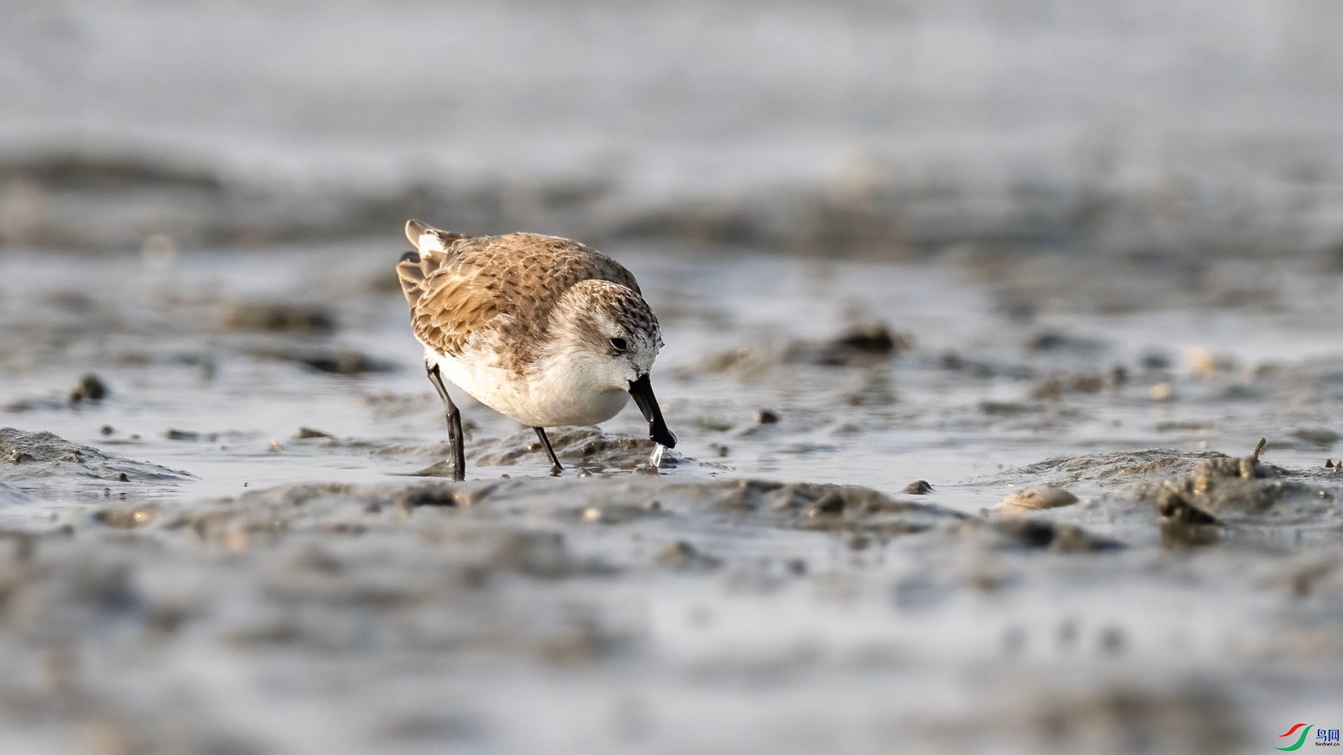 _DSC9989 ����.jpg