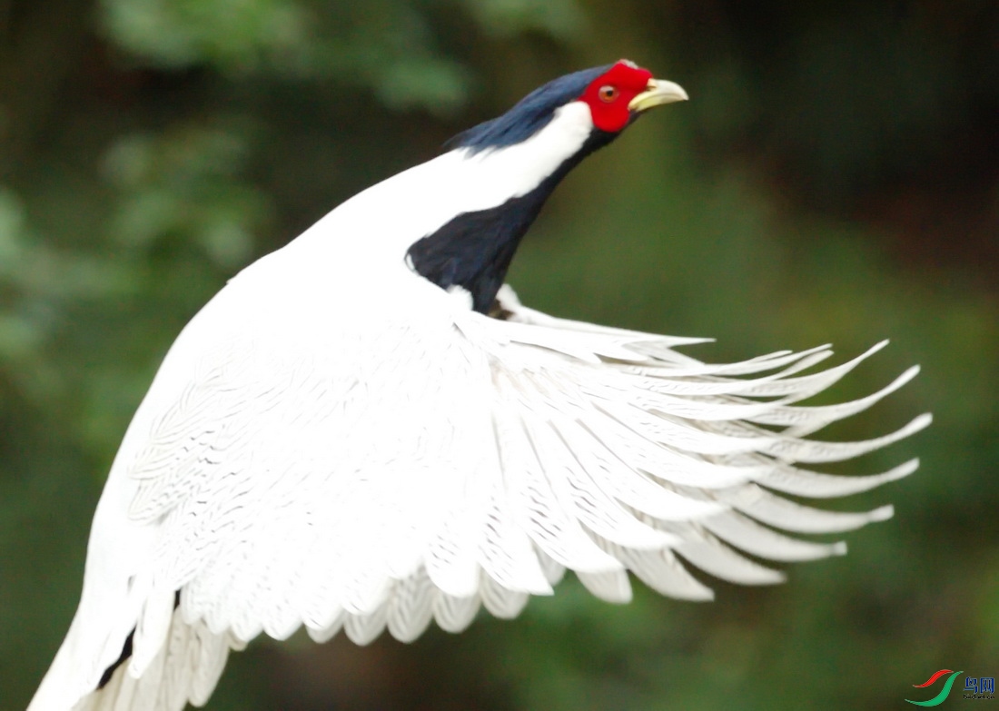 _DSC4731zcx_������С - ���� (2).jpg