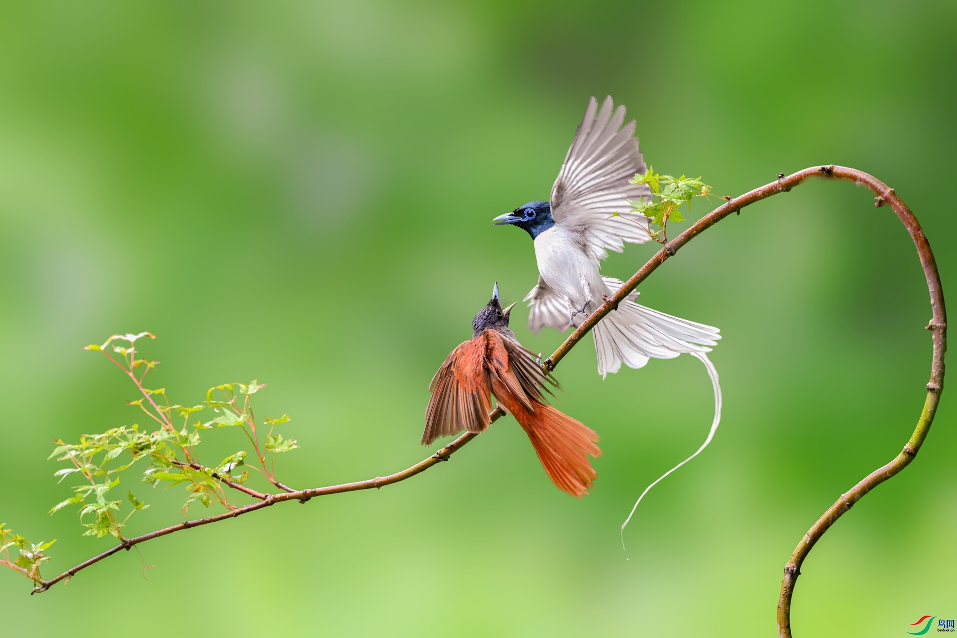 2.4 ��ƽ@��ʦ��Ʒ  ����  �ٻ�2026��2��4����Ӱʦ��ҳ����.jpg