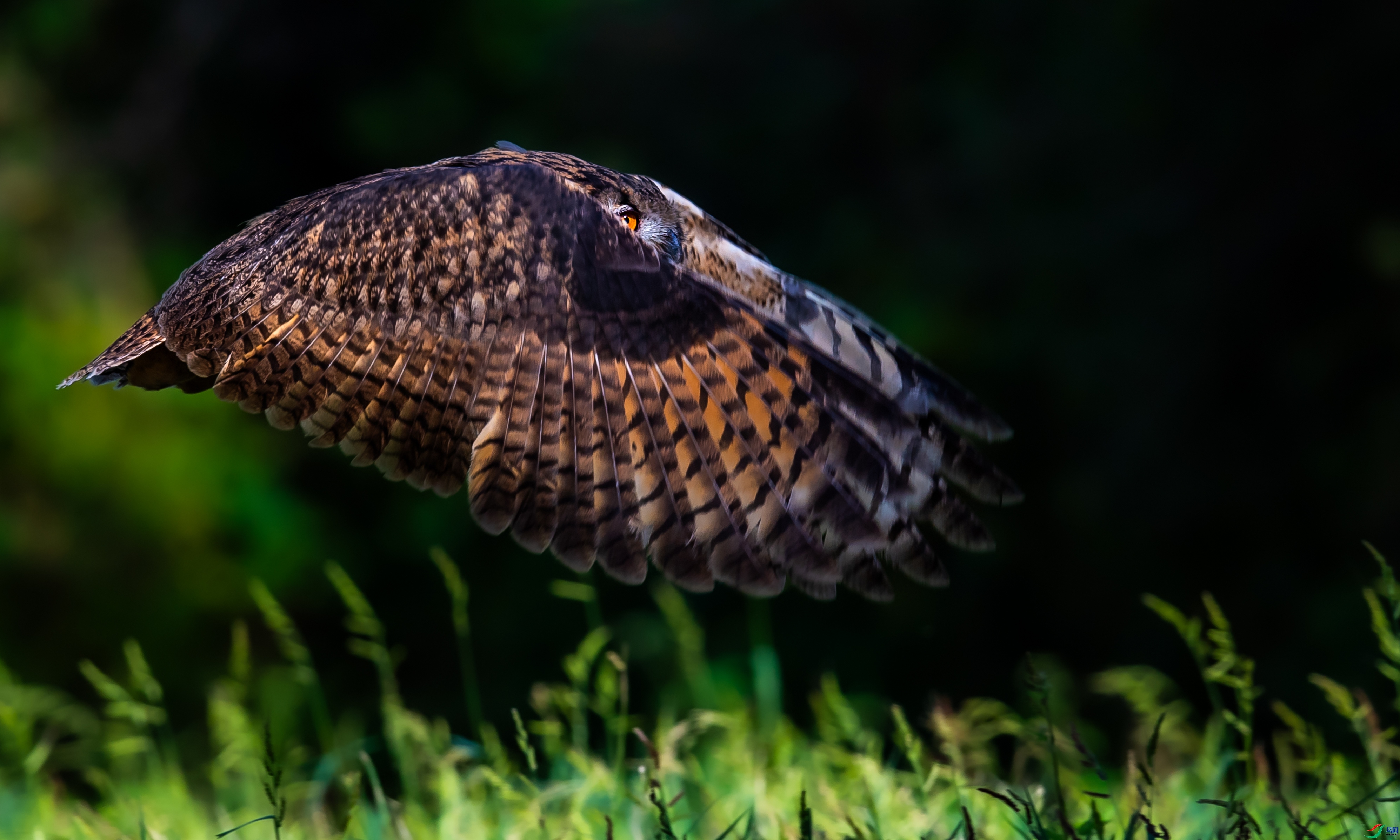 2.4 ��������bj��ʦ��Ʒ  һĿ��Ȼ  �ٻ�2026��2��4�հ�����ҳ����.jpg