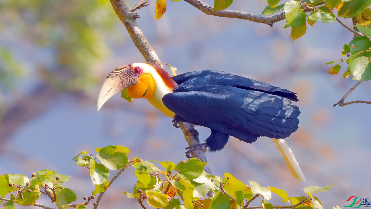 ����  lpy13801380.png