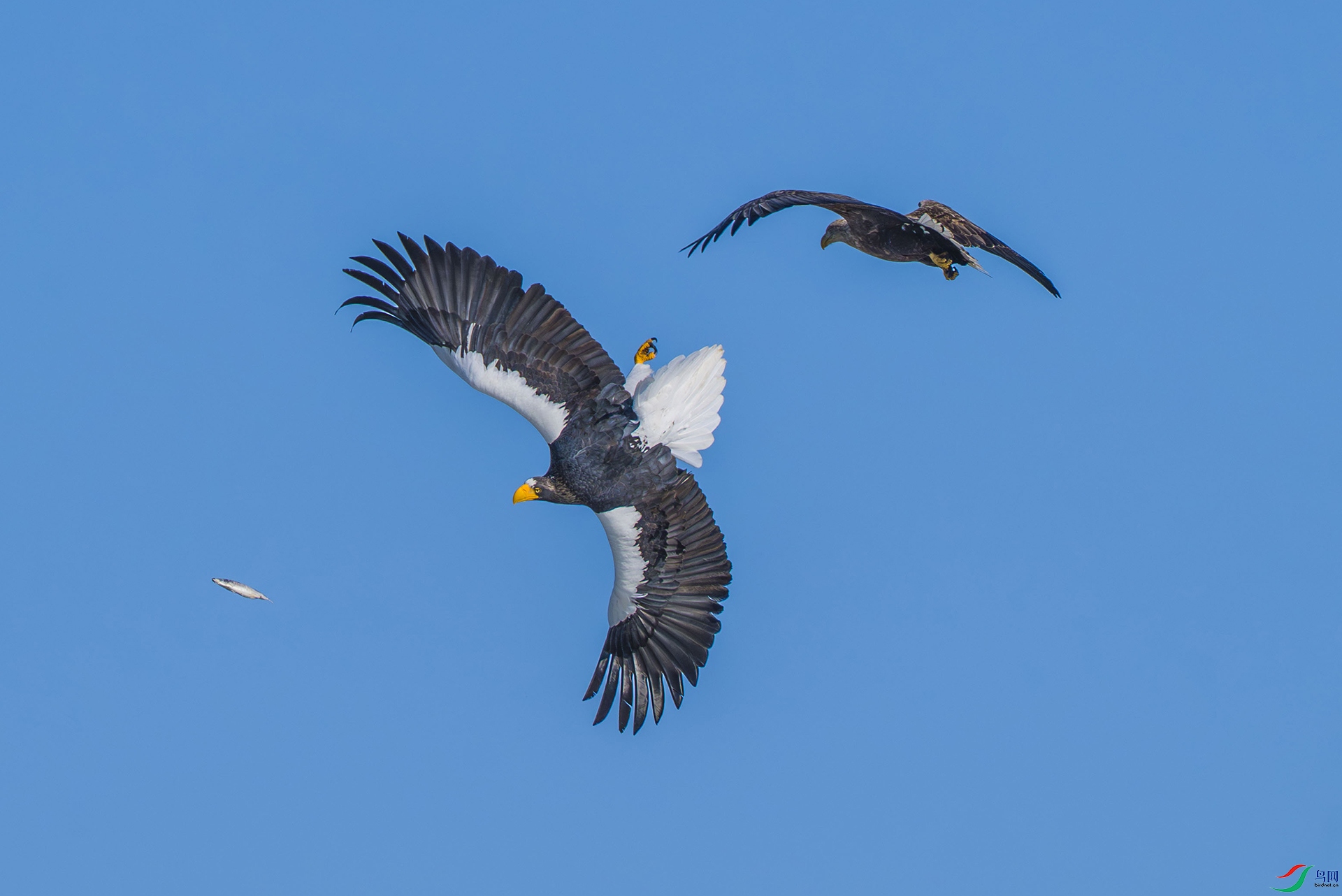 ��β����һ��  ����   ���з���.jpg