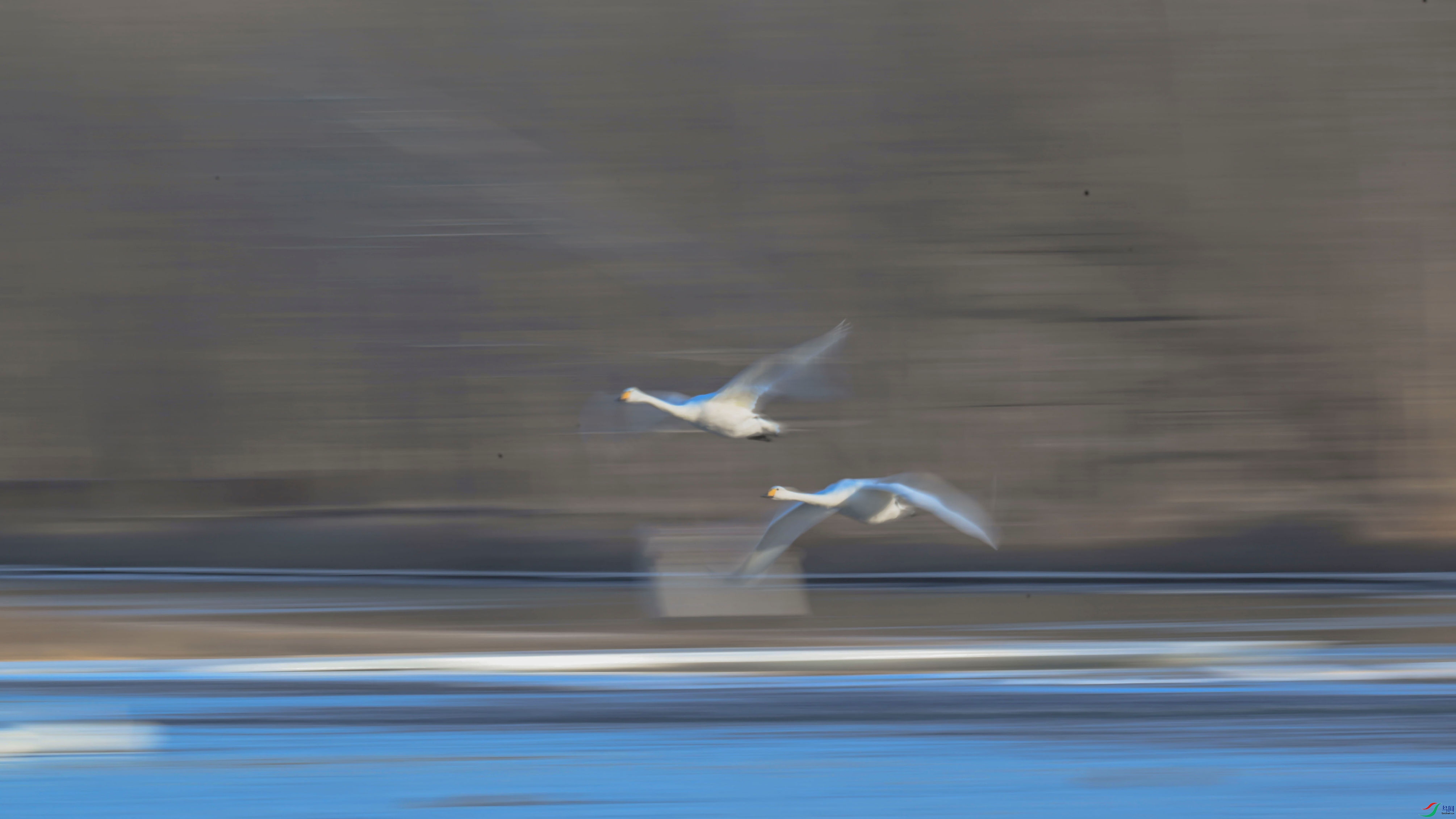 DSC_1256_����_1_����.jpg