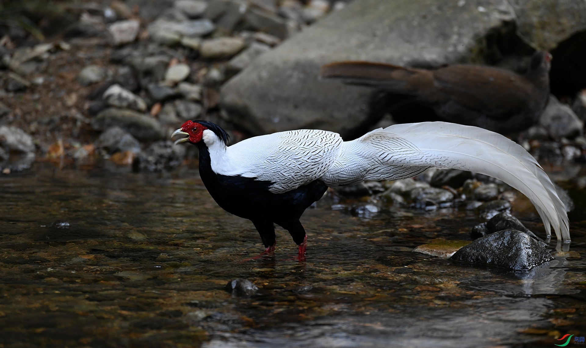 DSC_3291.jpg