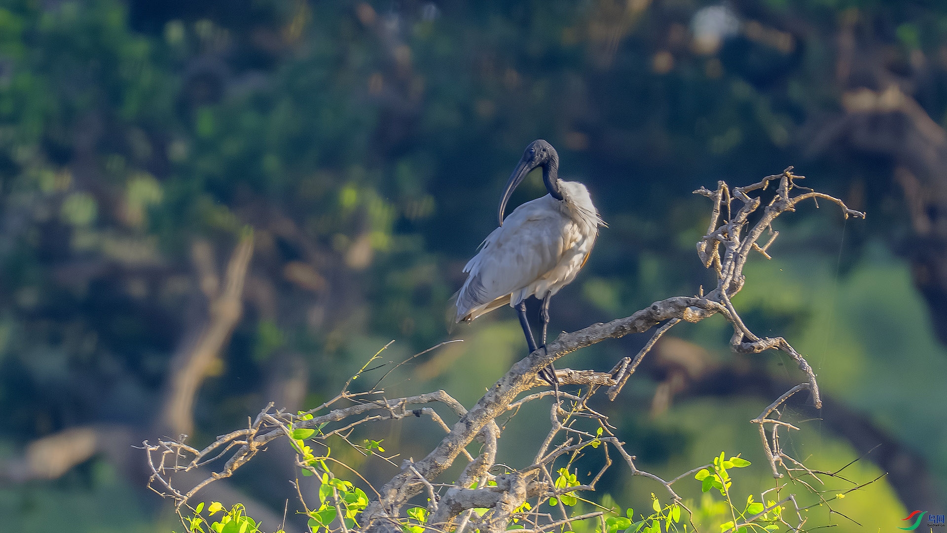 DSC_4941 ����.jpg