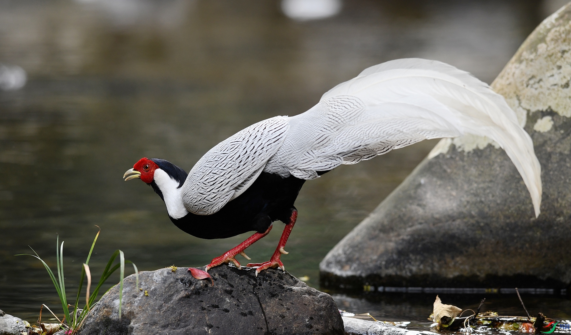 DSC_2409.jpg