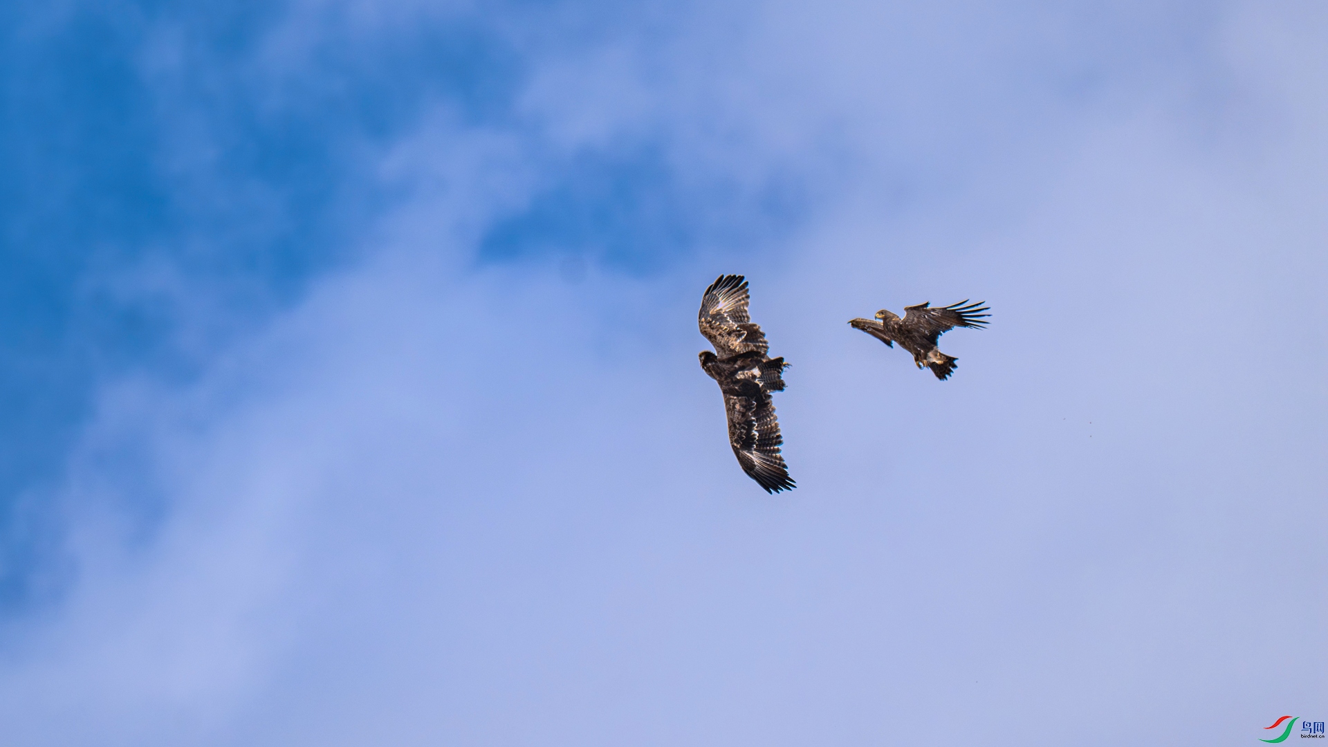 DSC_1784 ����_����.jpg