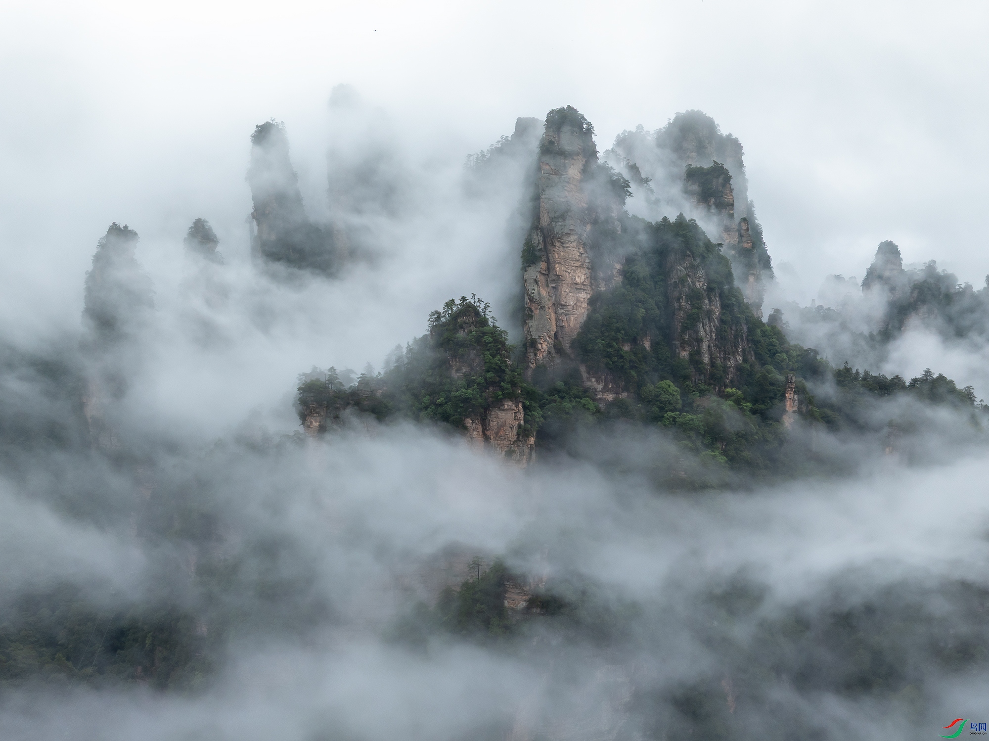 DJI_20250625134413_0137_D ����-1.jpg