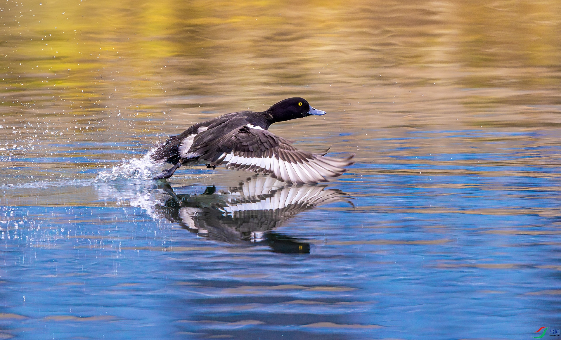 9086 ����.jpg