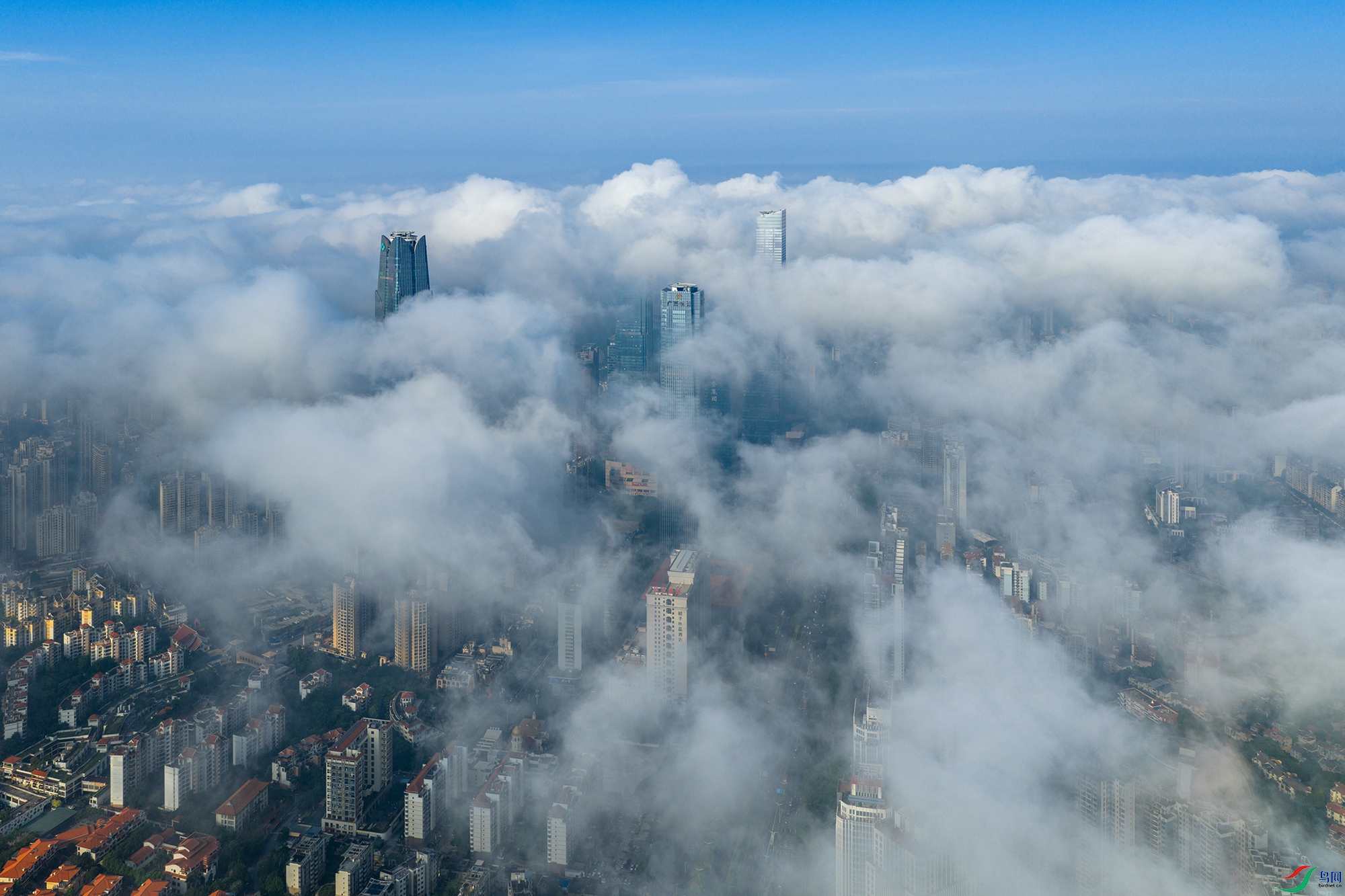 DJI_20251008084246_0050_D ����-111.jpg