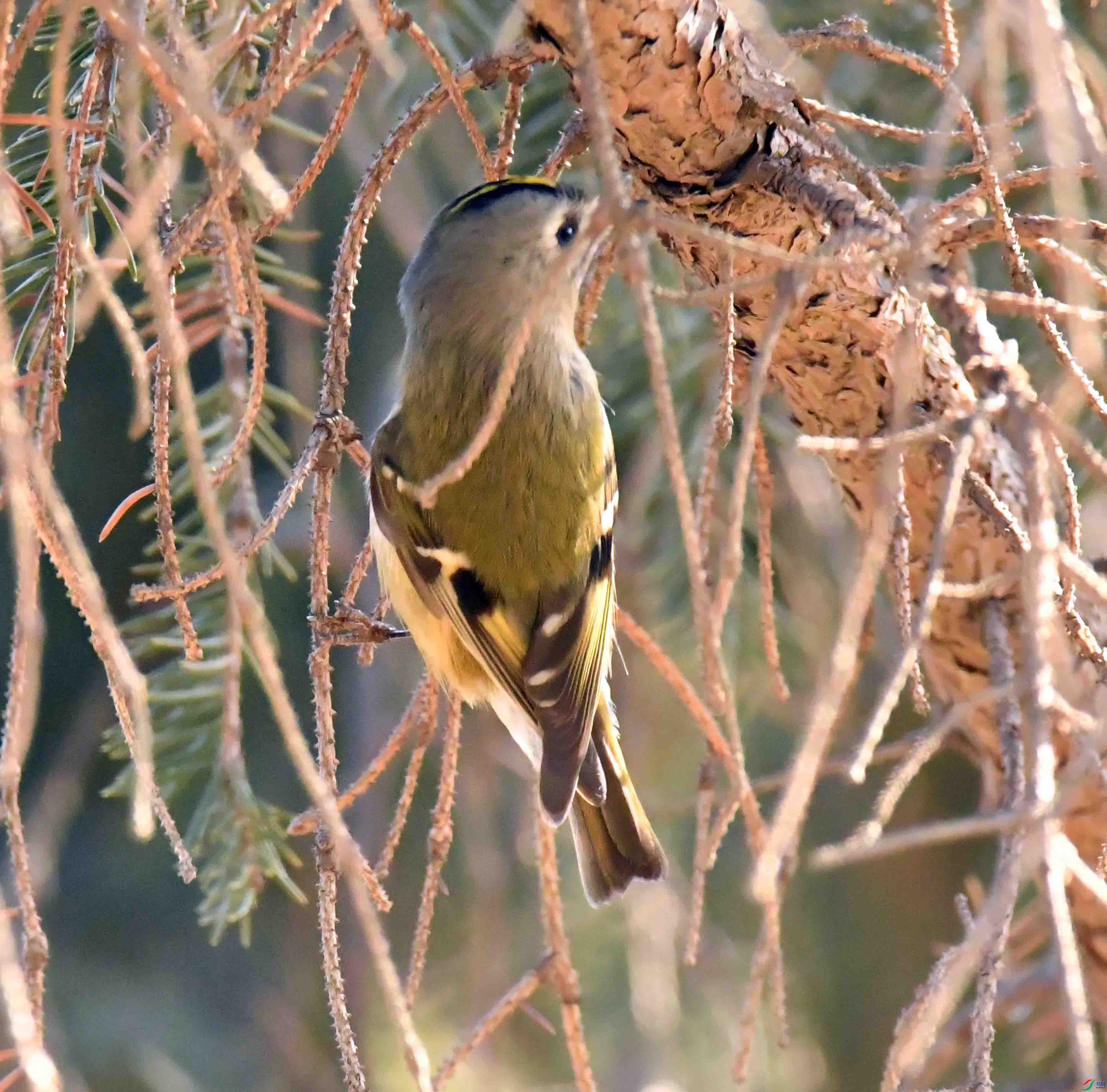 DSC_8872.JPG