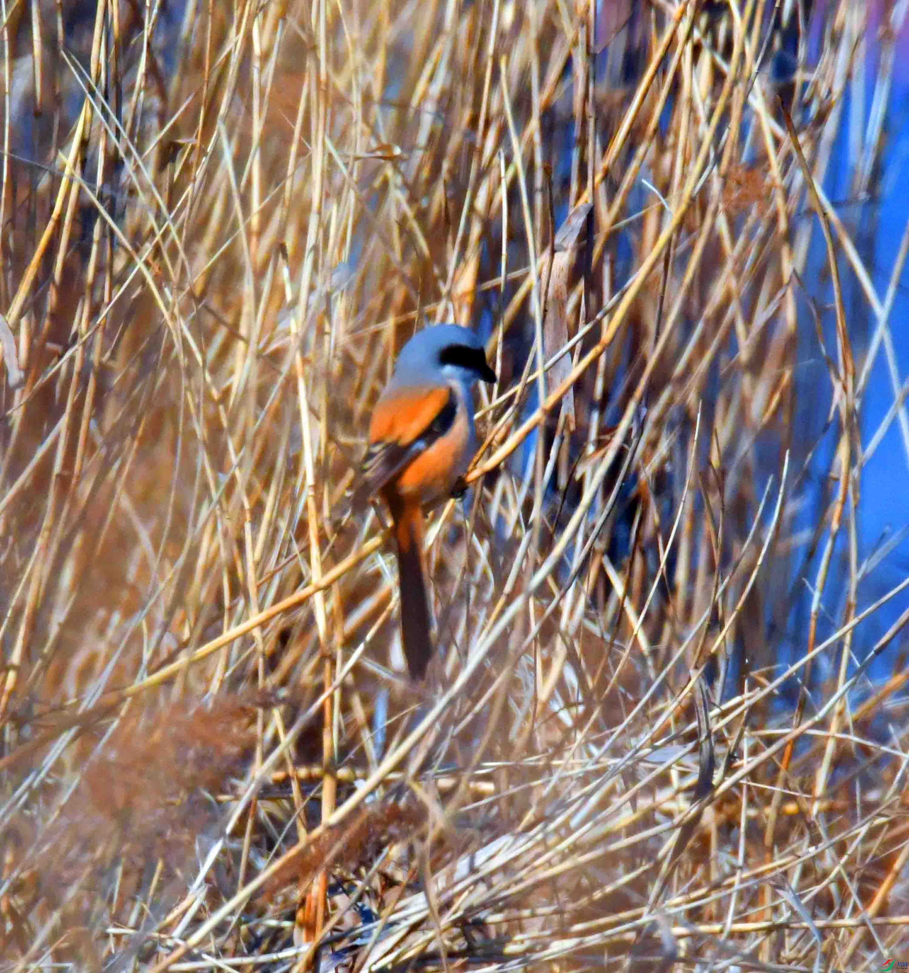 DSC_6374.JPG