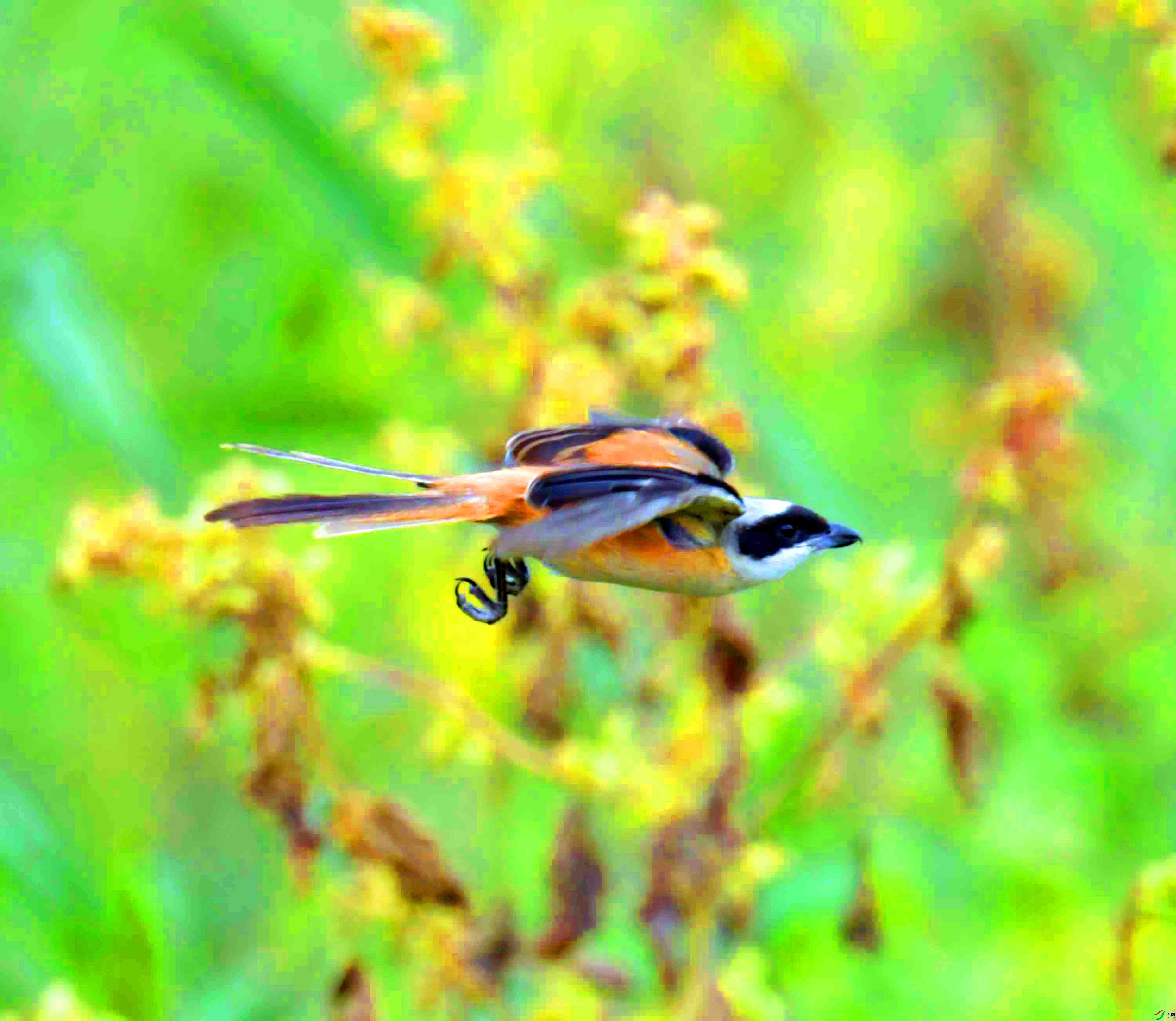 DSC_8624.JPG