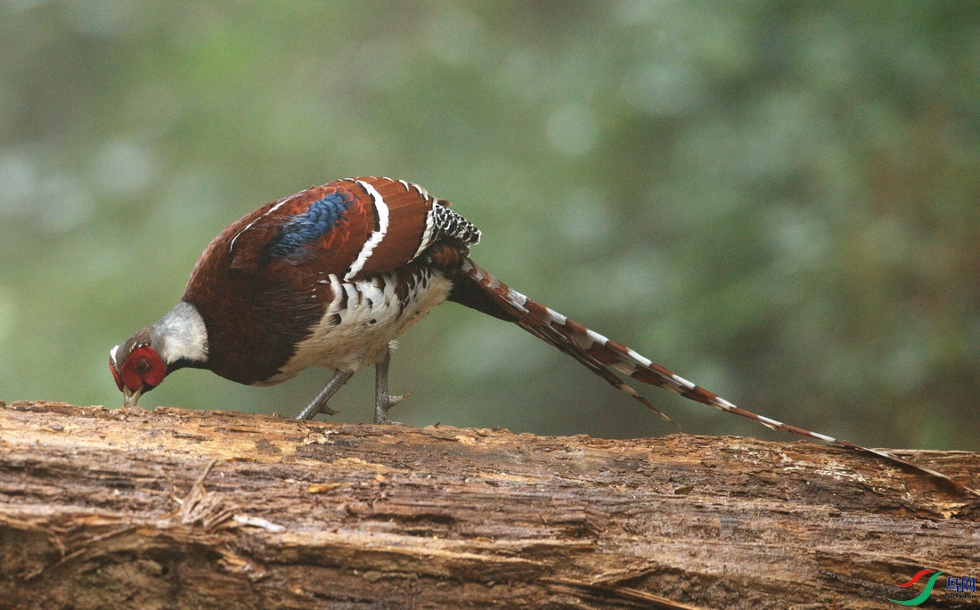 _DSC5070zxx_������С - ���� (2).jpg