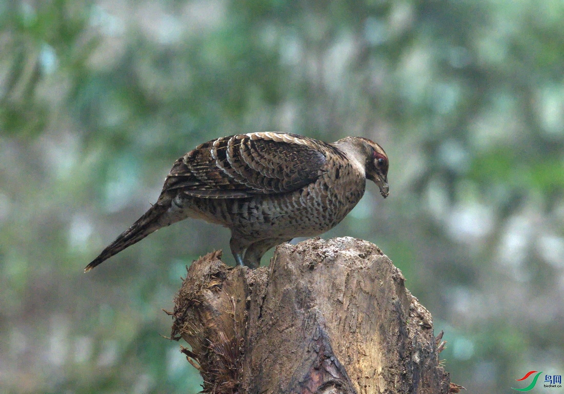 _DSC5055z_������С - ���� (2).jpg