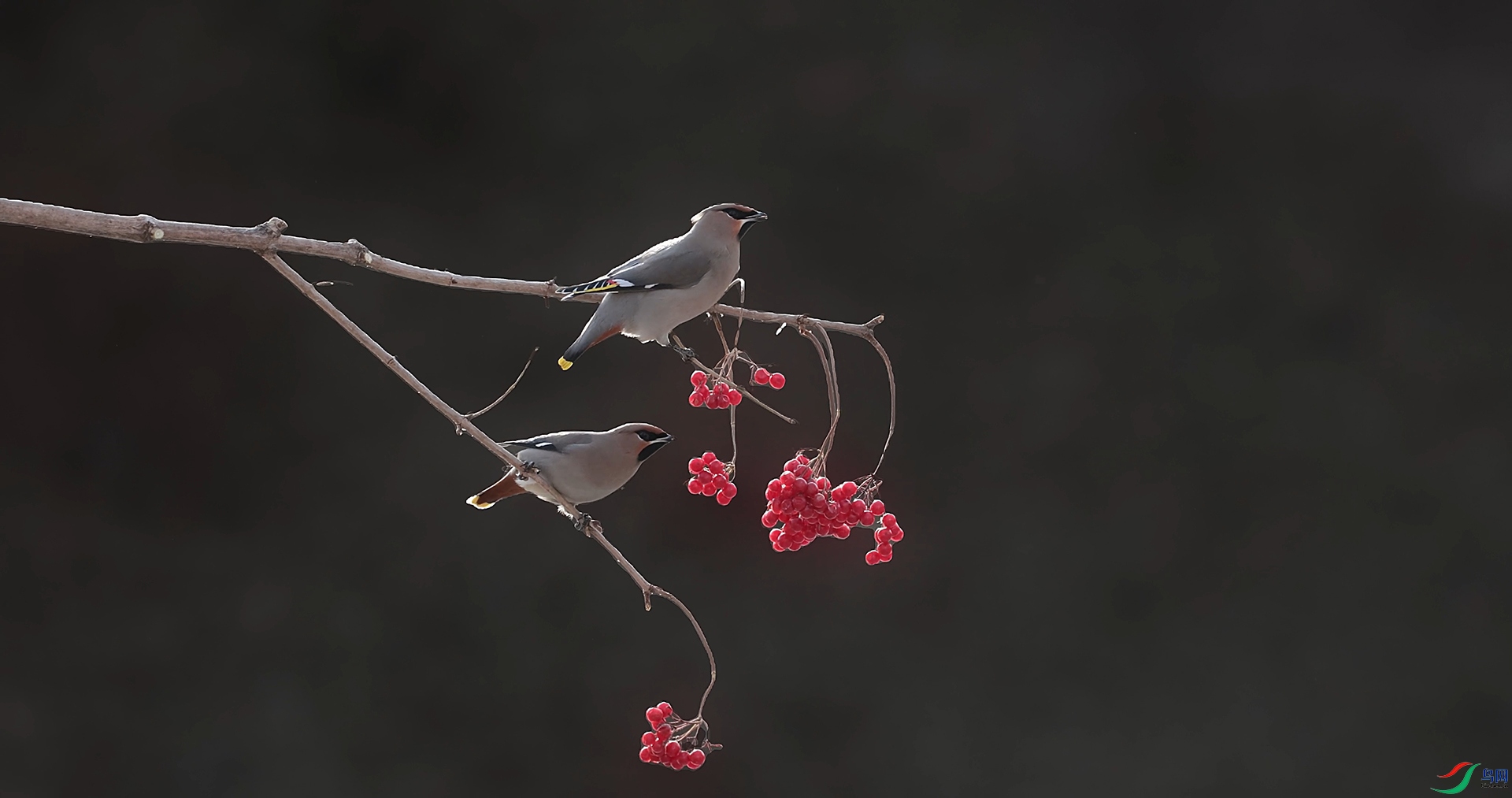 ��֡ 2026-02-08 220752_1.1.10.jpg