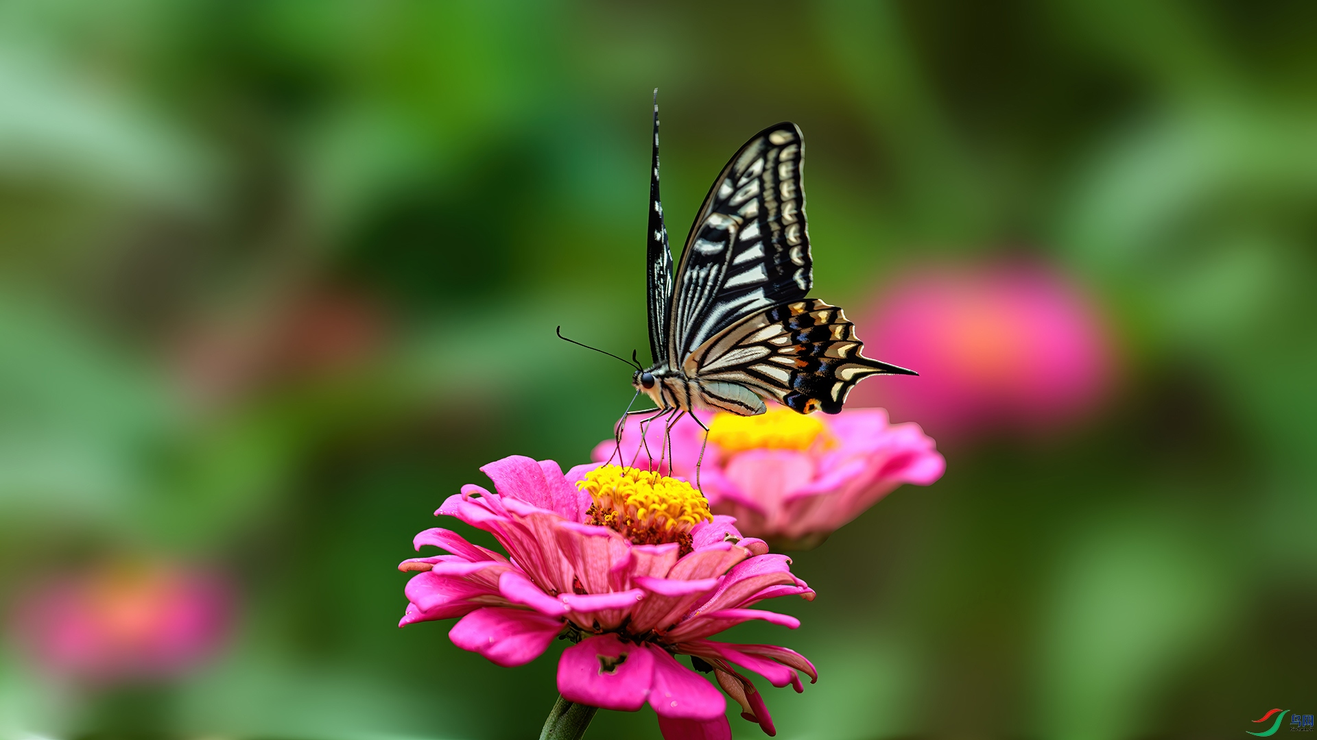 R3B_7997.jpg