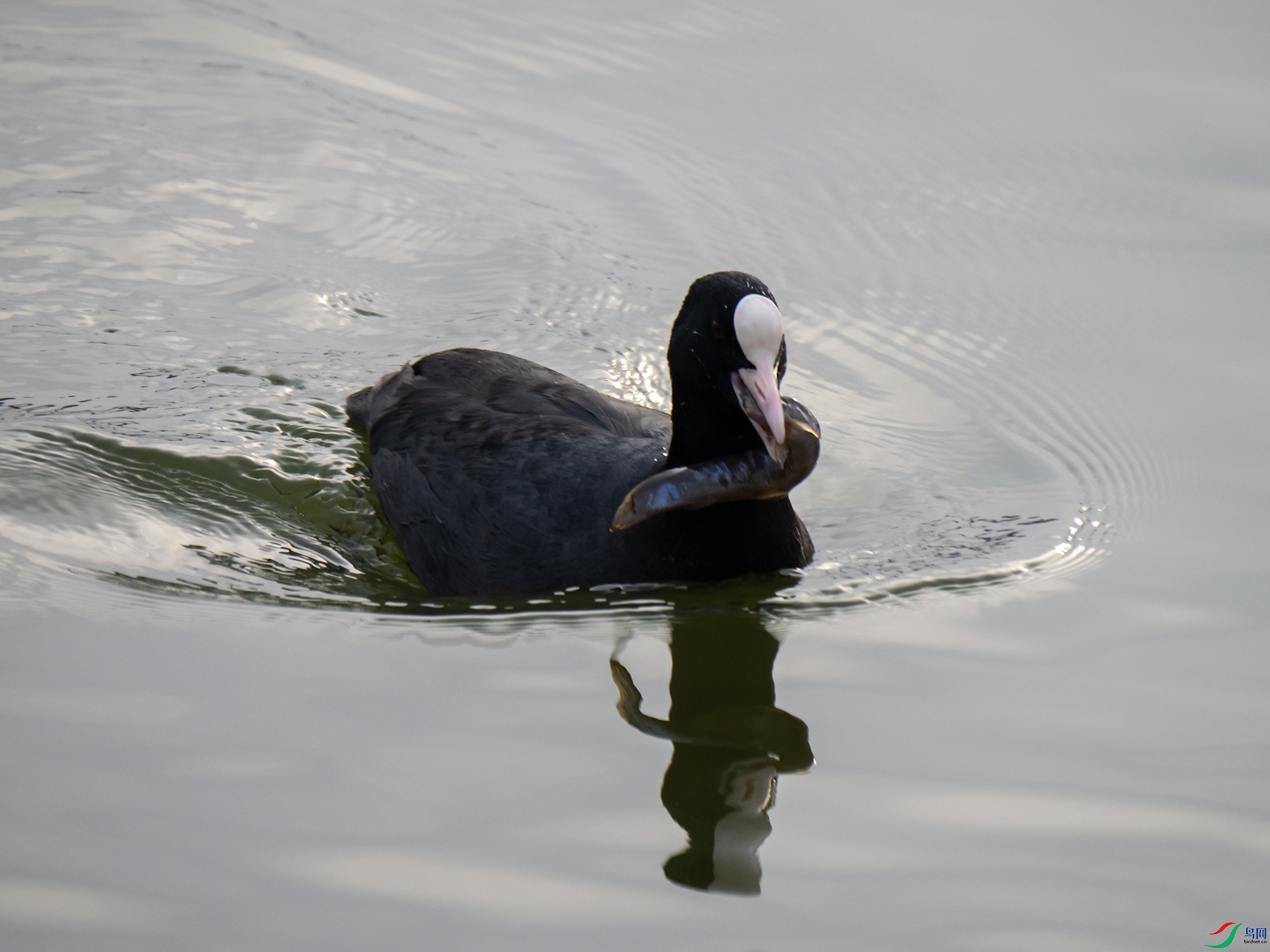 P1049198.jpg