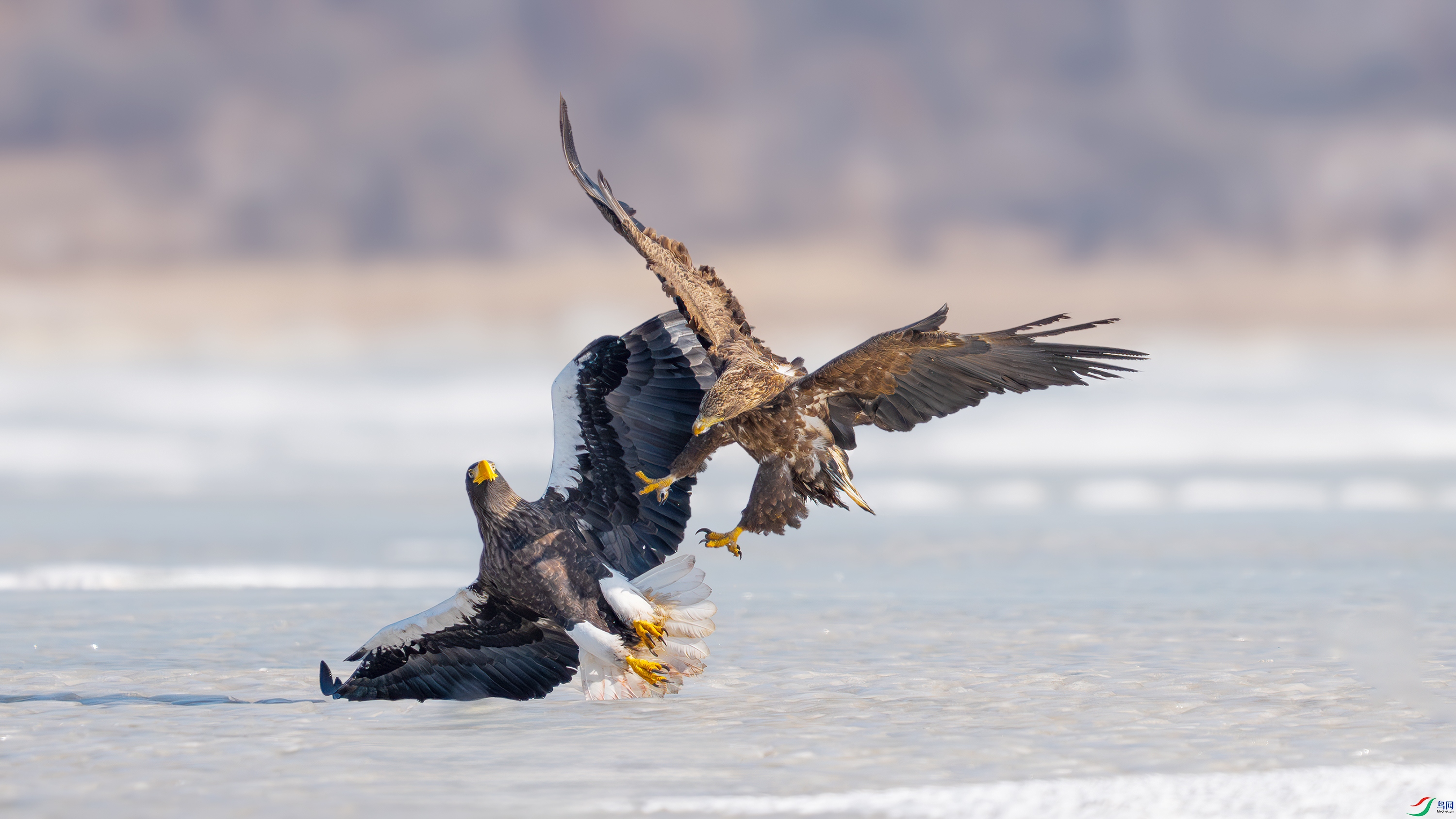 _DSC3526 ����.jpg