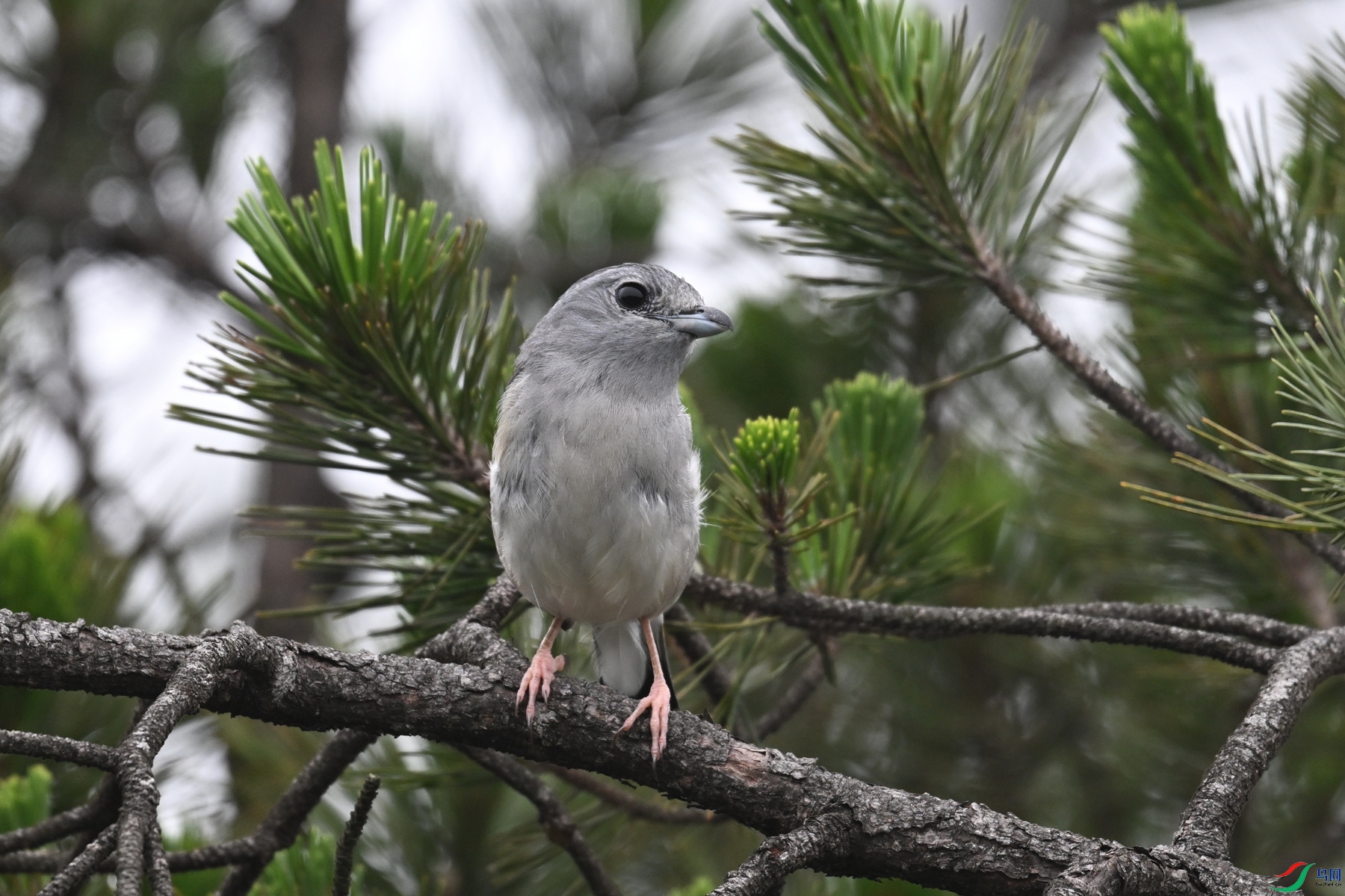 DSC_0773.JPG