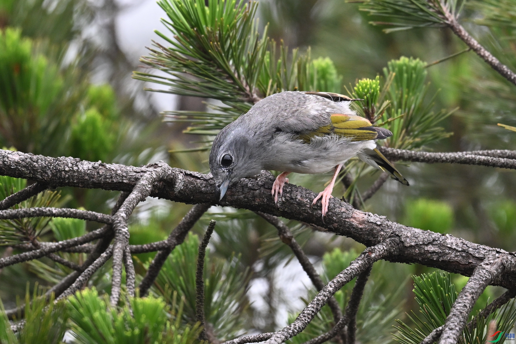 DSC_0792.JPG