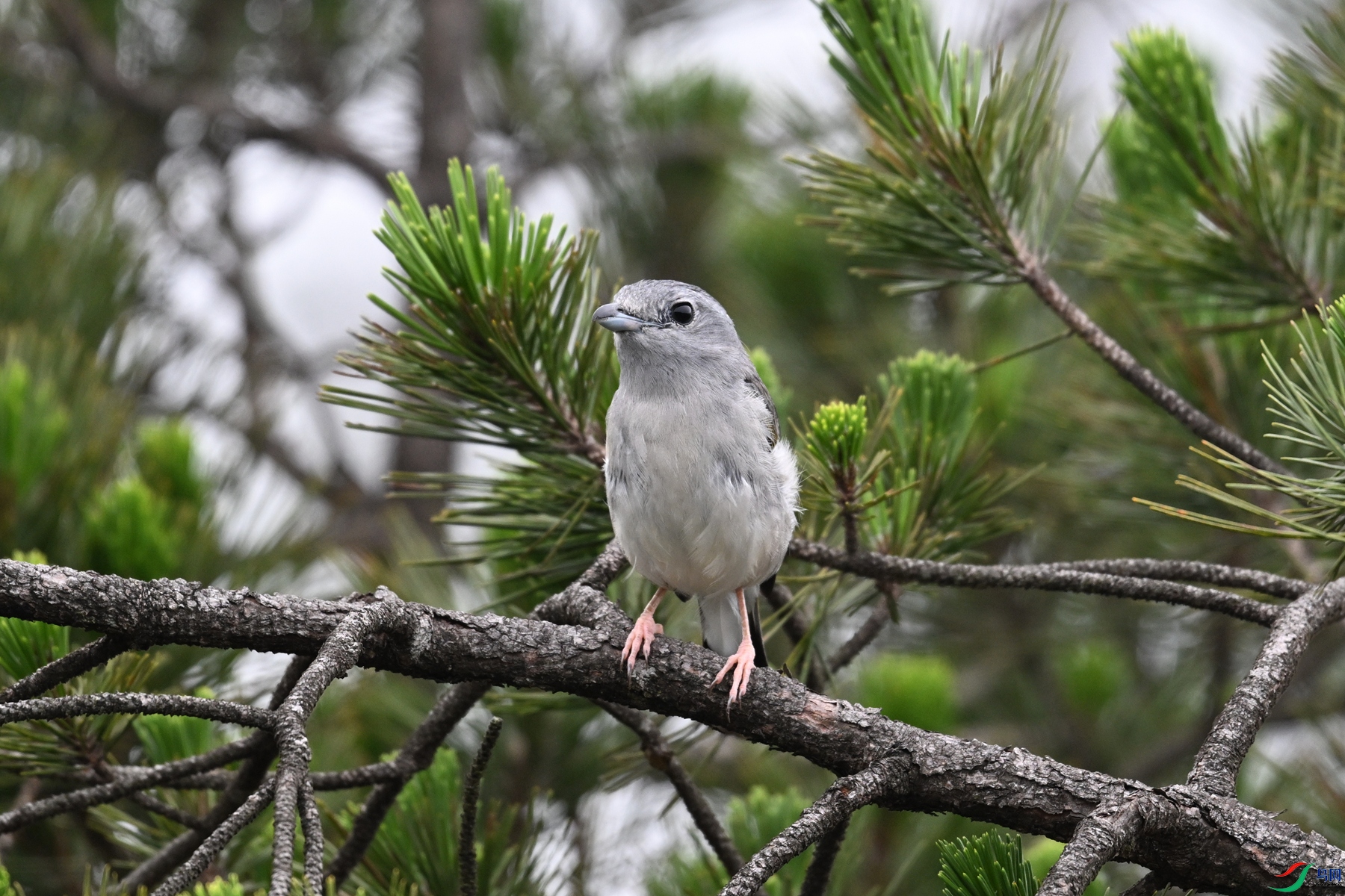 DSC_0781.JPG