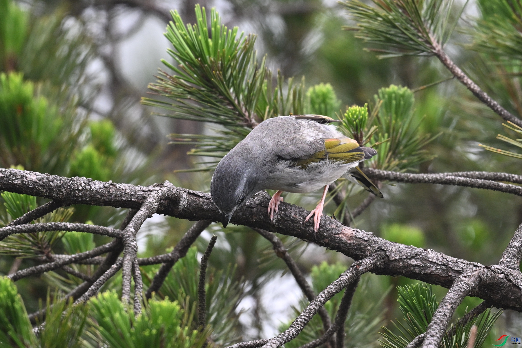 DSC_0786.JPG