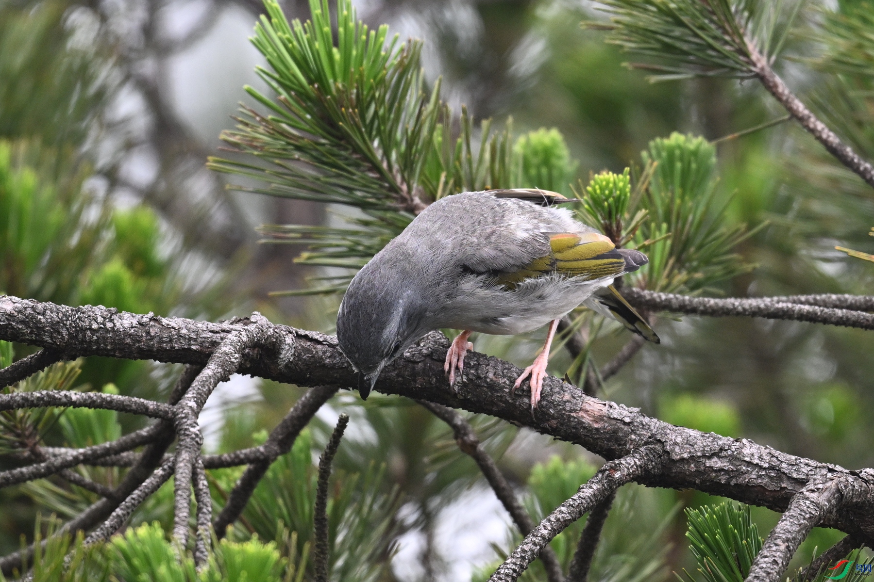 DSC_0787.JPG