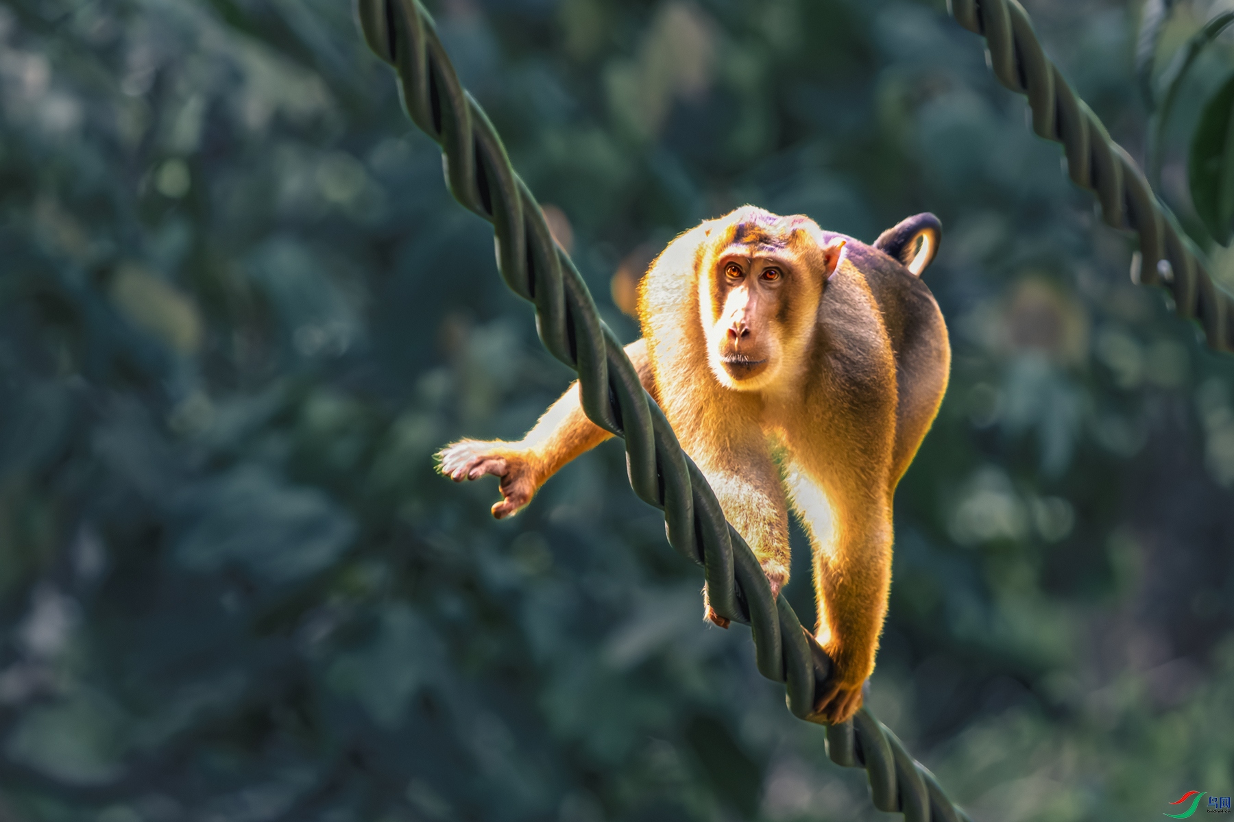 ��β⨺�----����ƽ����