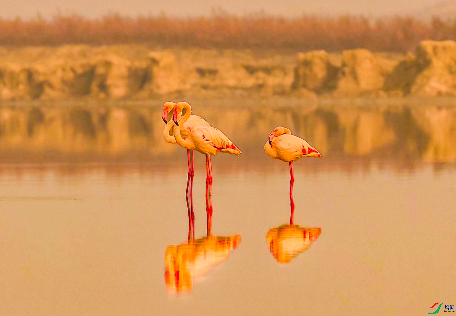 default (10) ���� 3.jpg