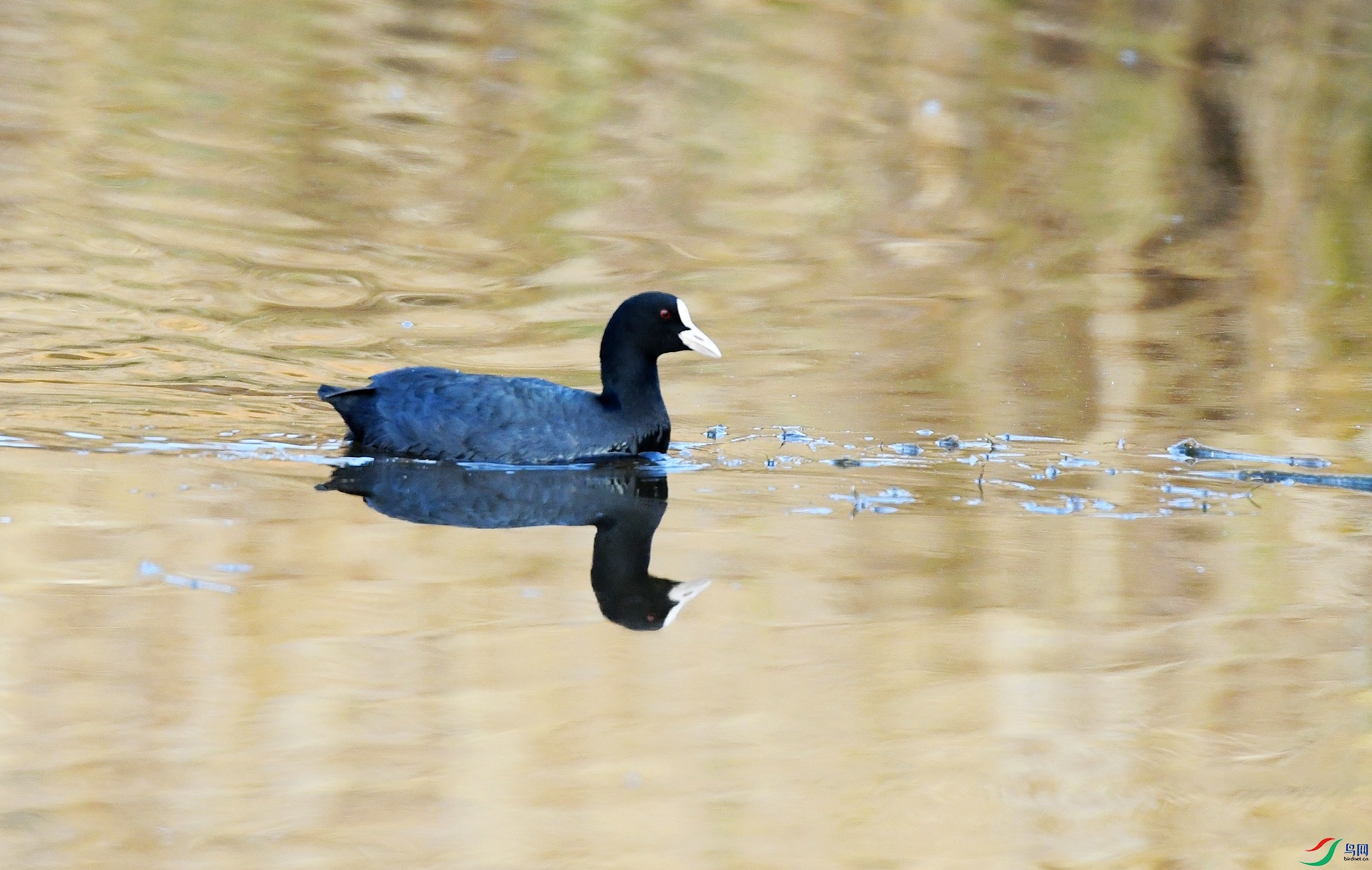 DSC_2318.jpg