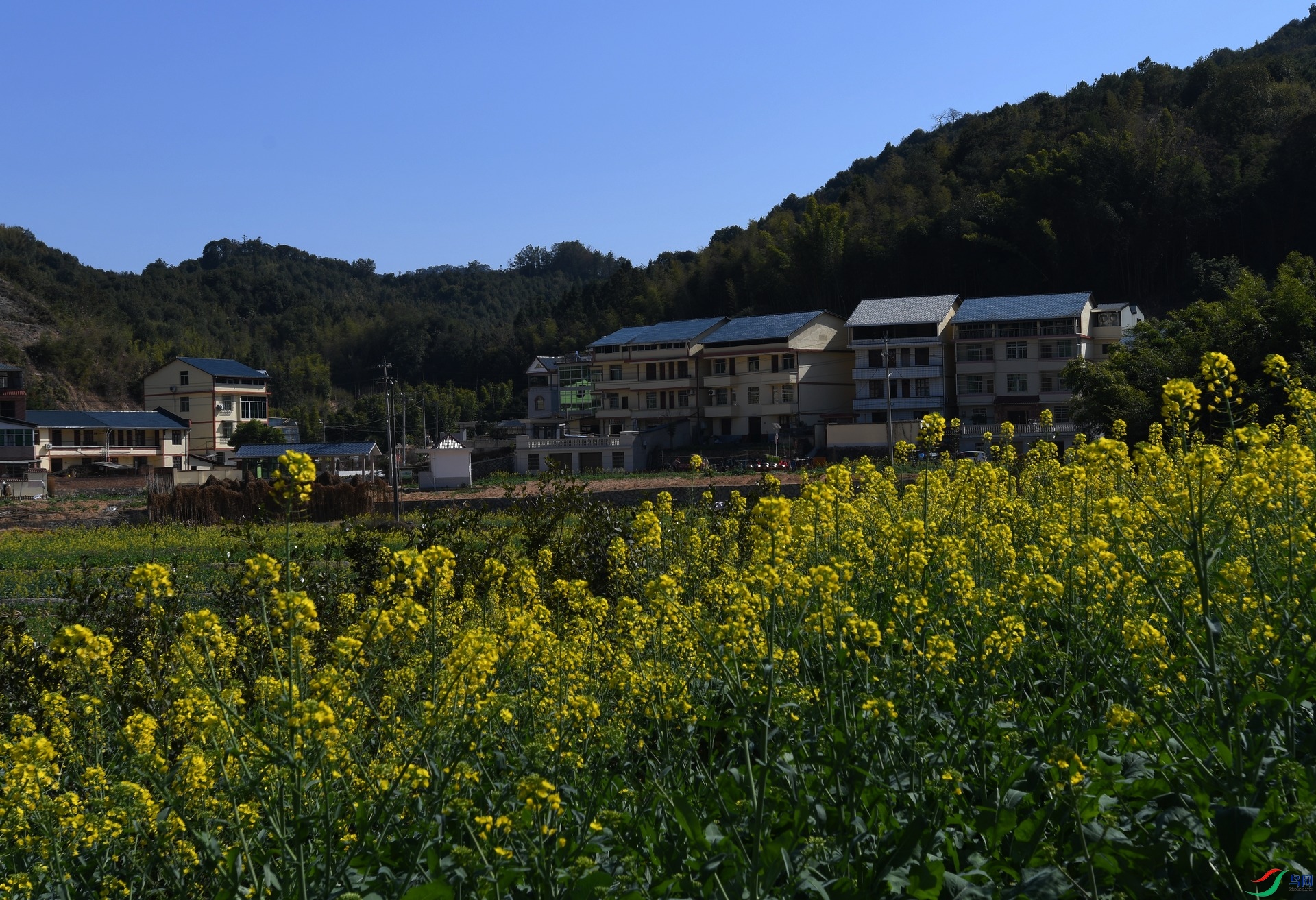 DSC_3493.jpg