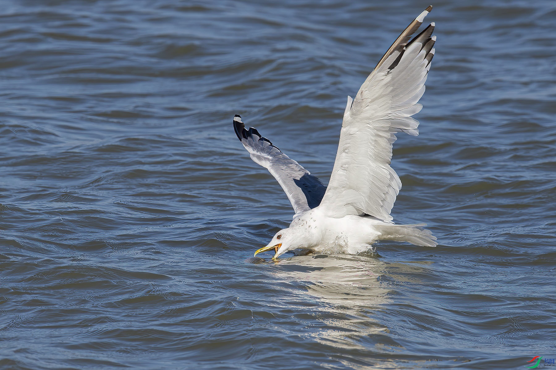_L050665-1.jpg