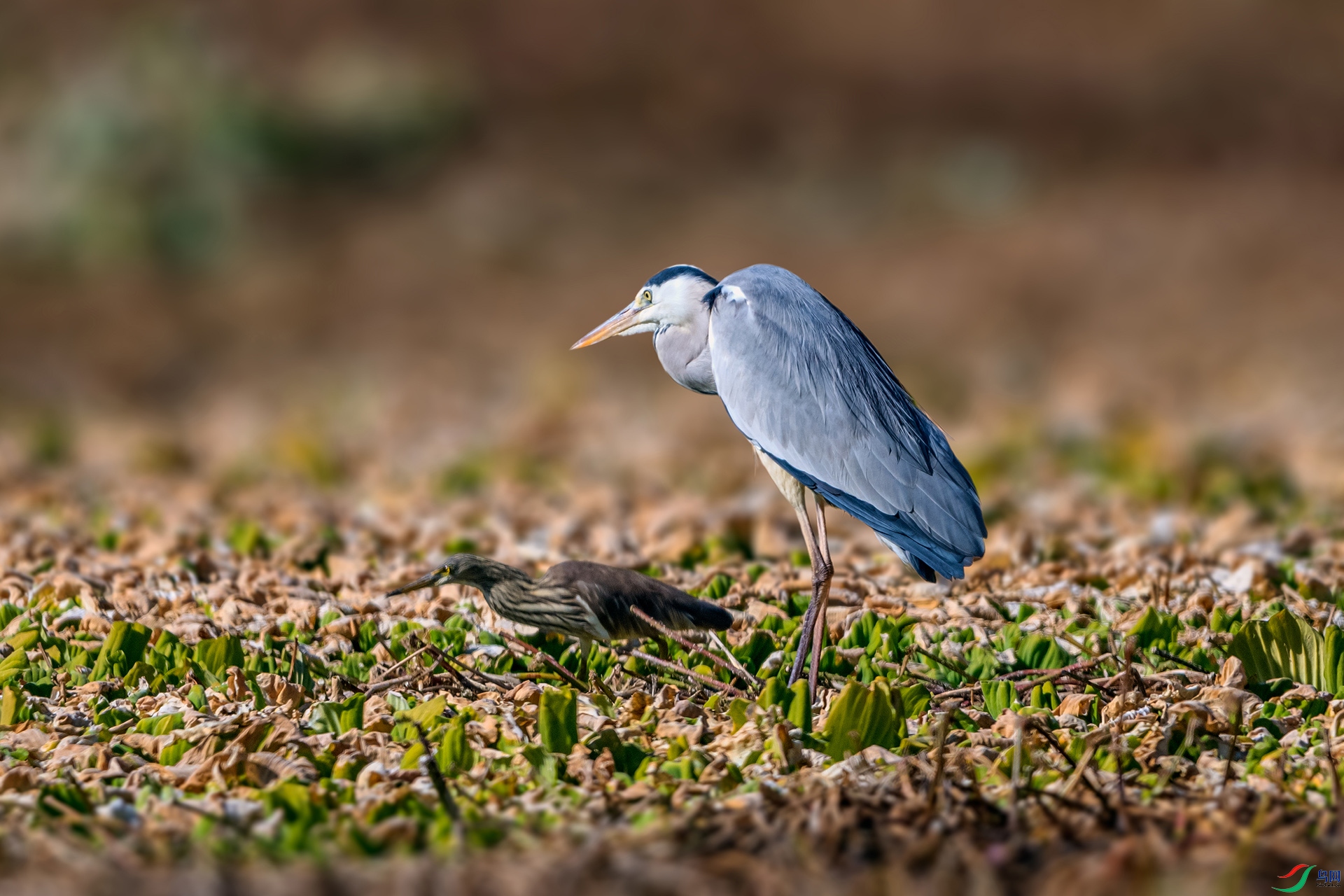 _AUU3259 ����(25.12.10).jpg